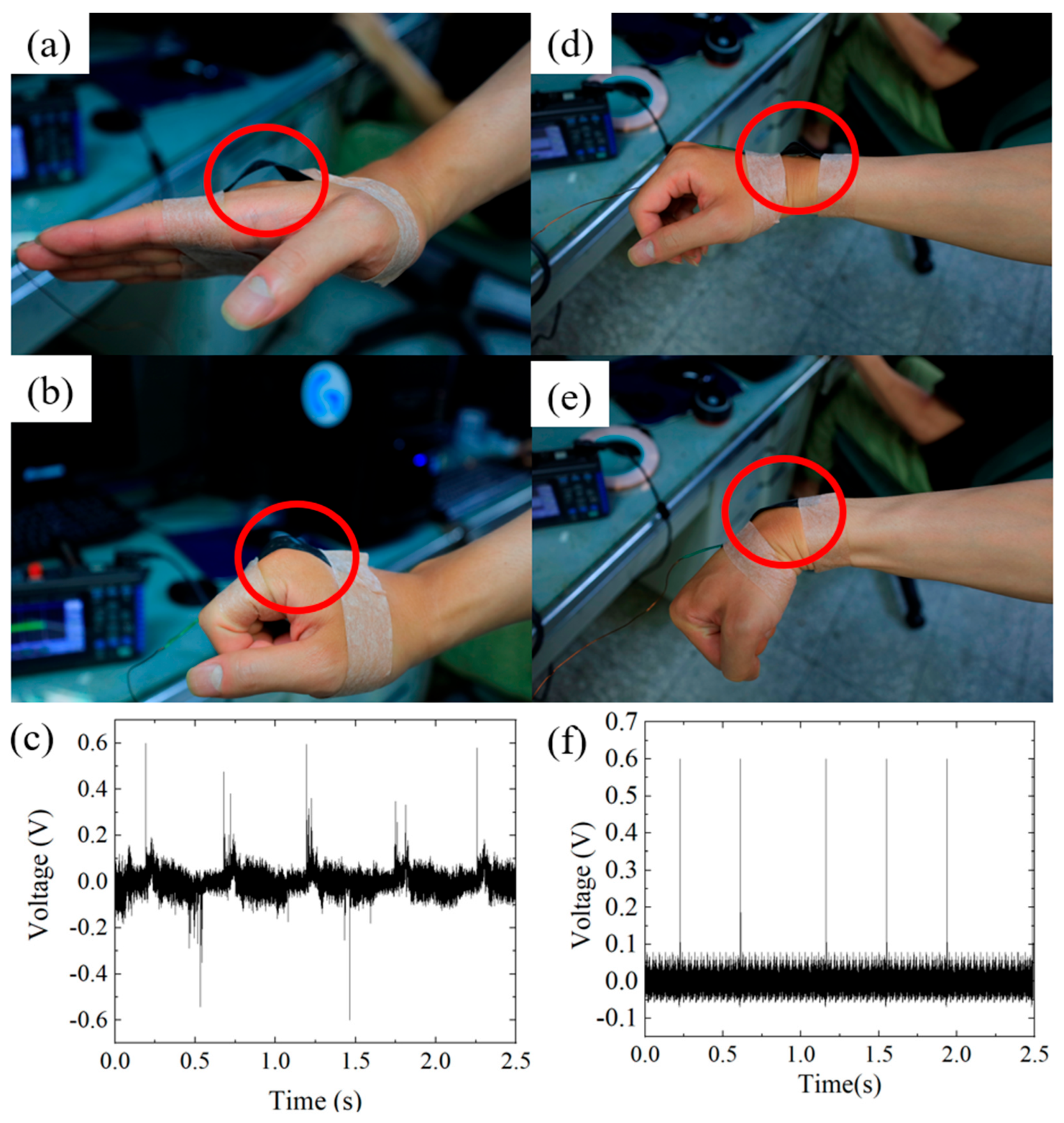 Sensors 25 06409 g006