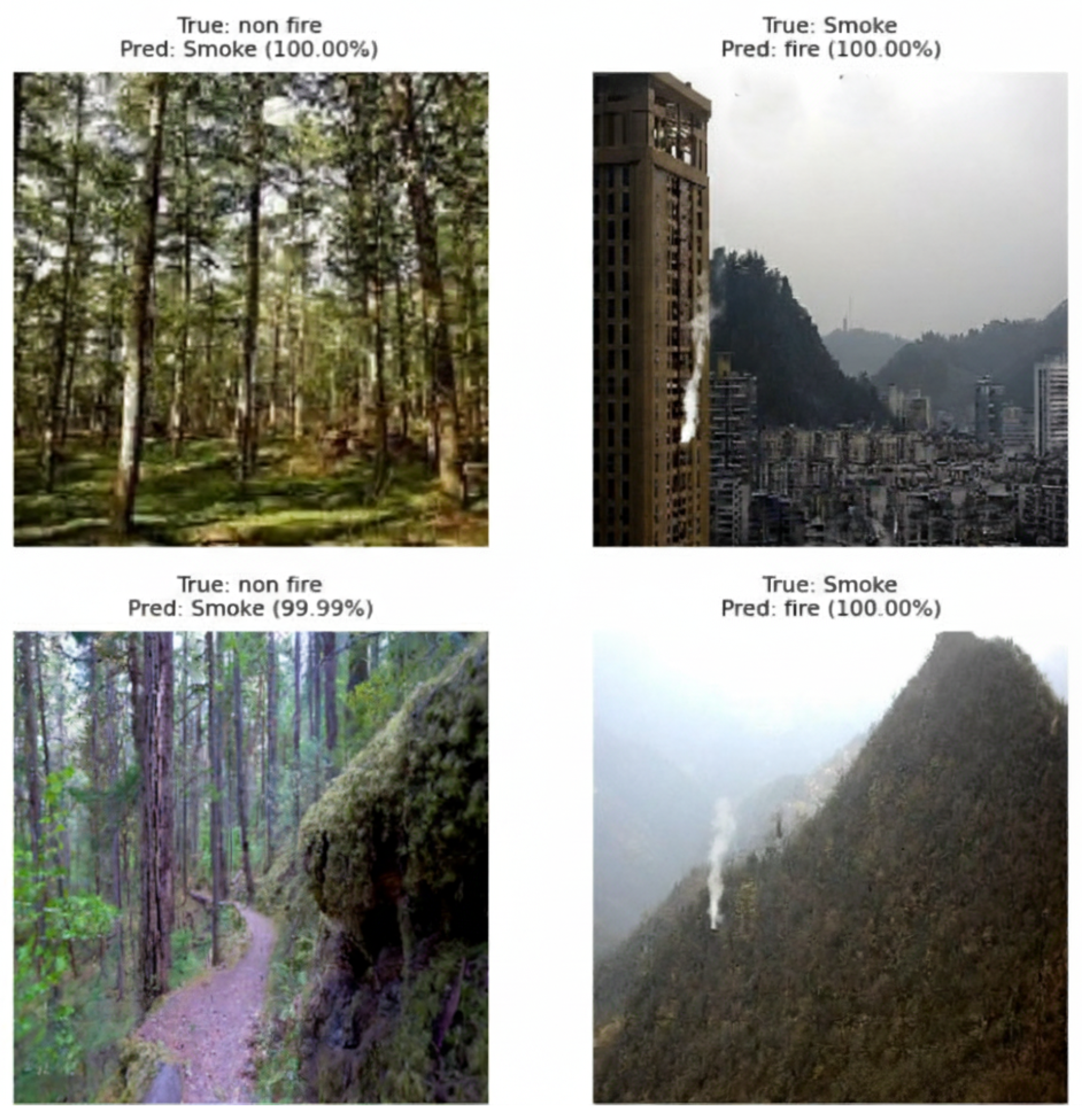 Sensors 25 06419 g007