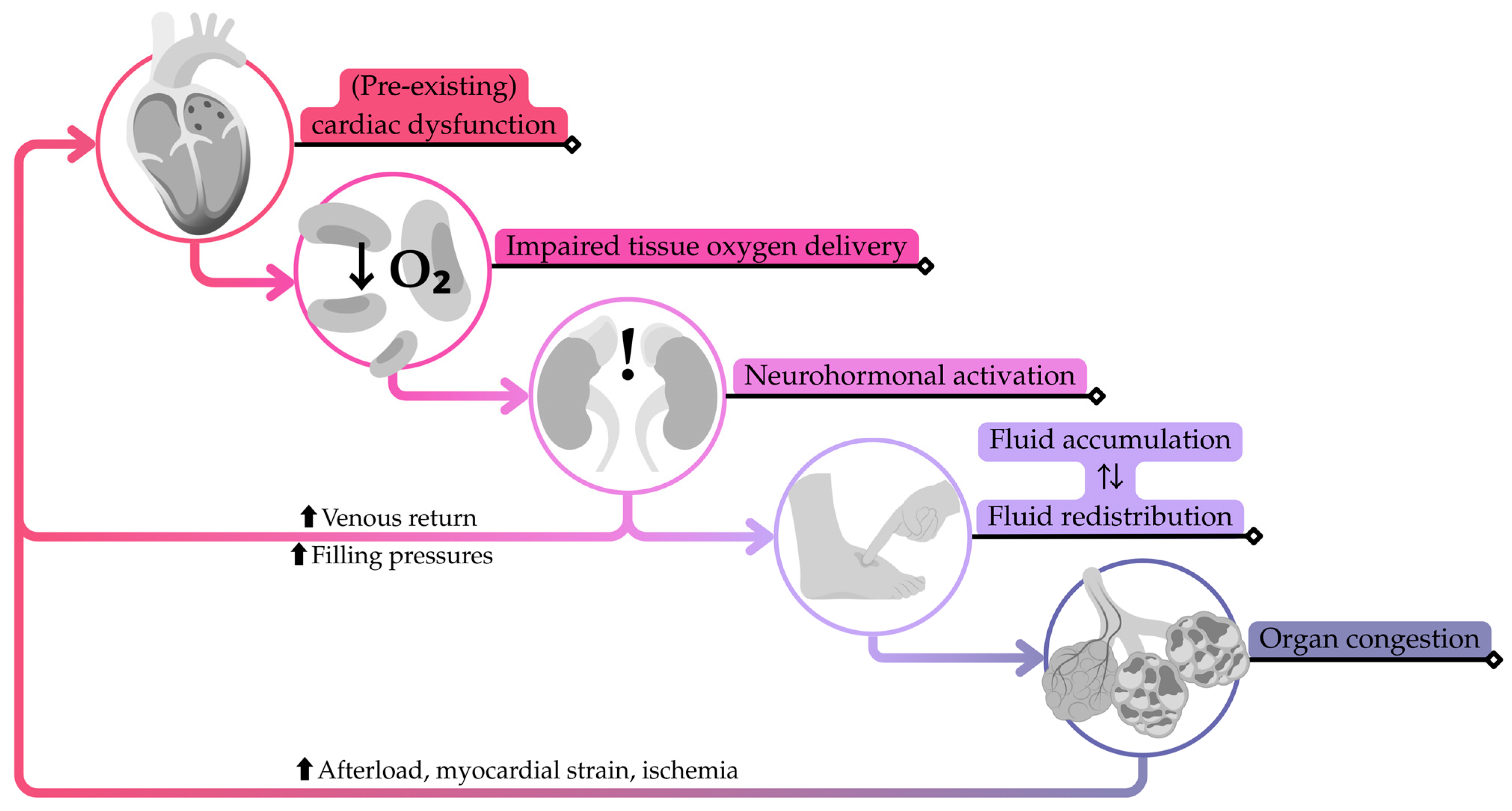 Sensors 25 06453 g001