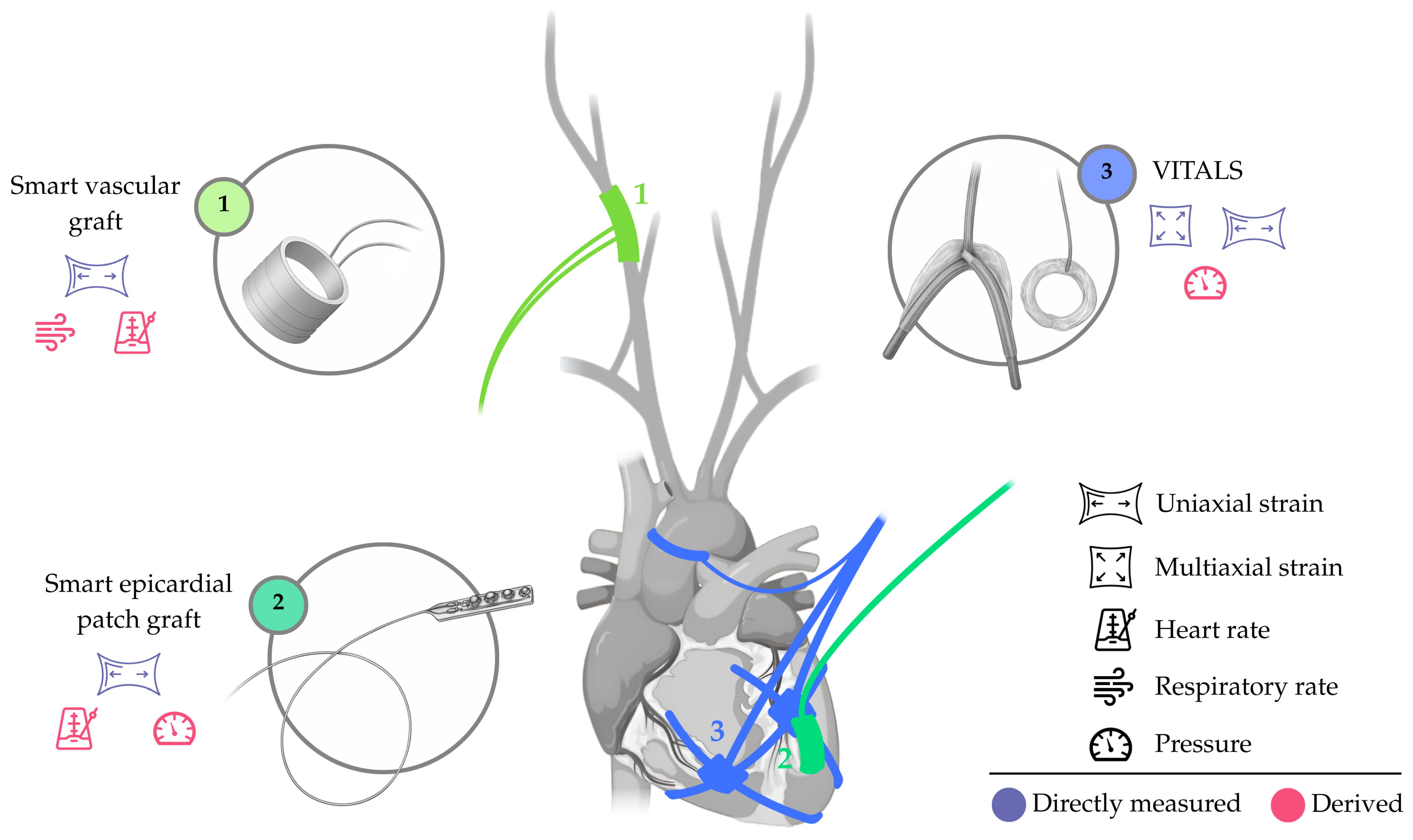 Sensors 25 06453 g004