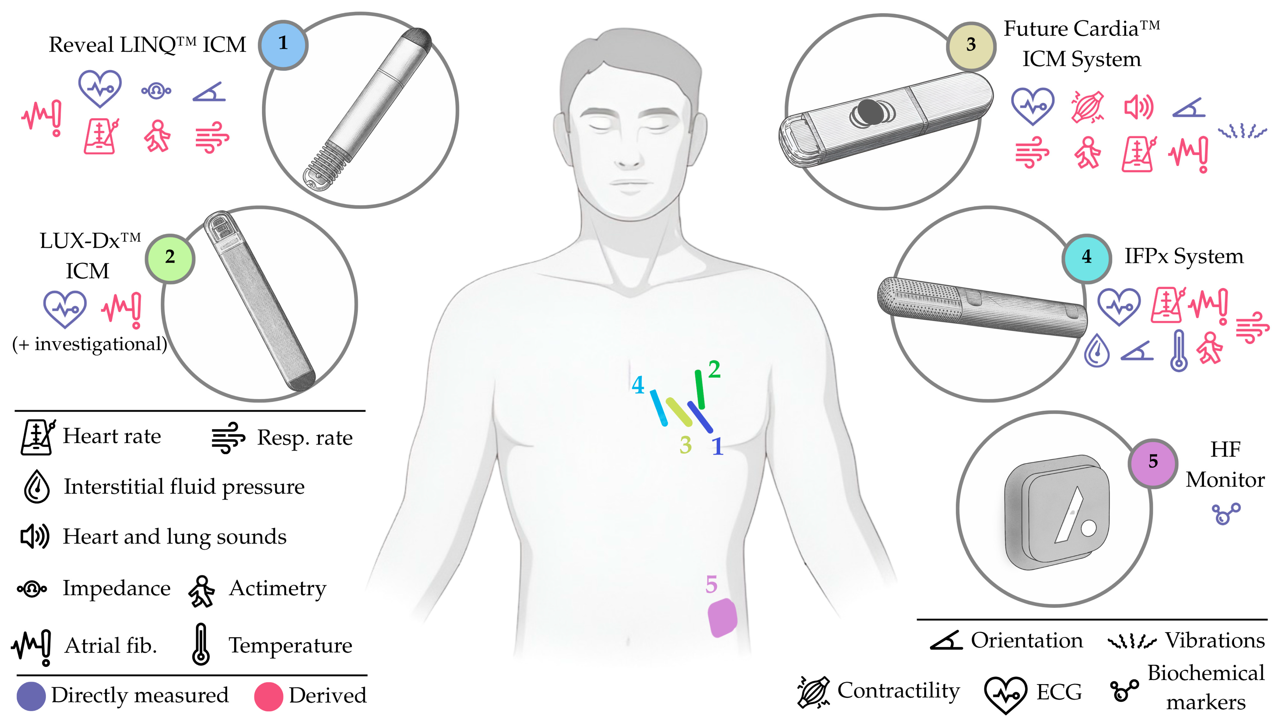 Sensors 25 06453 g005