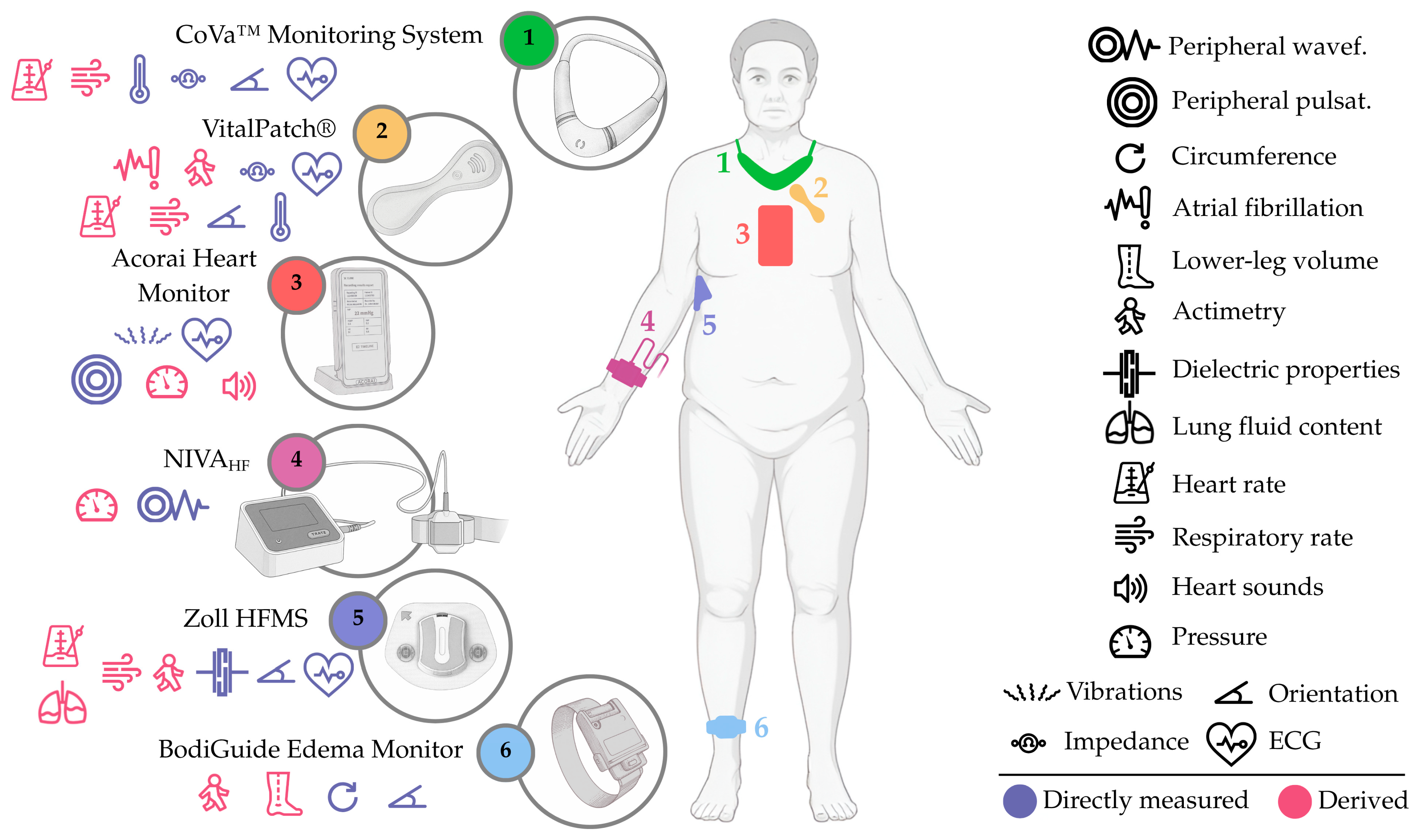 Sensors 25 06453 g007