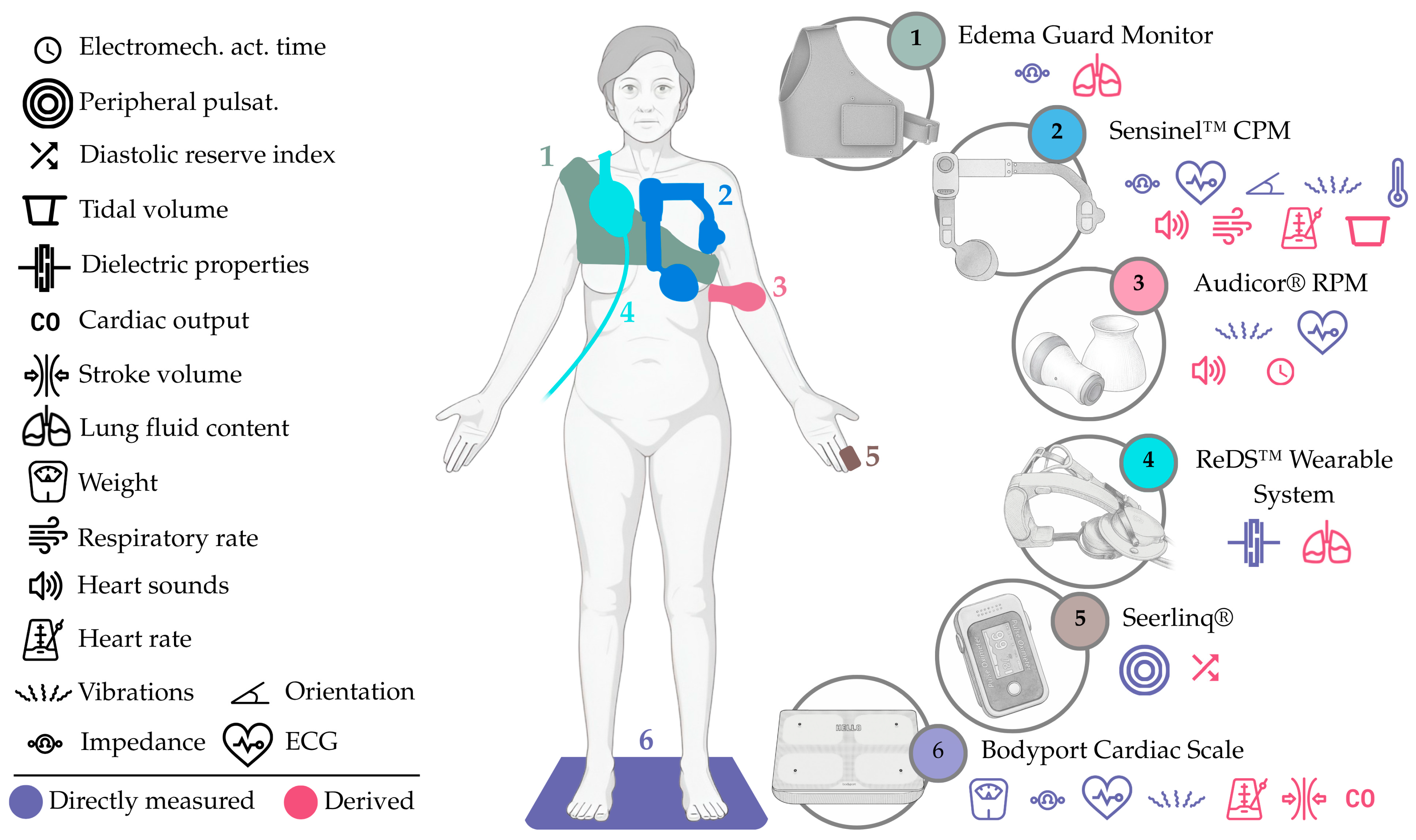 Sensors 25 06453 g008