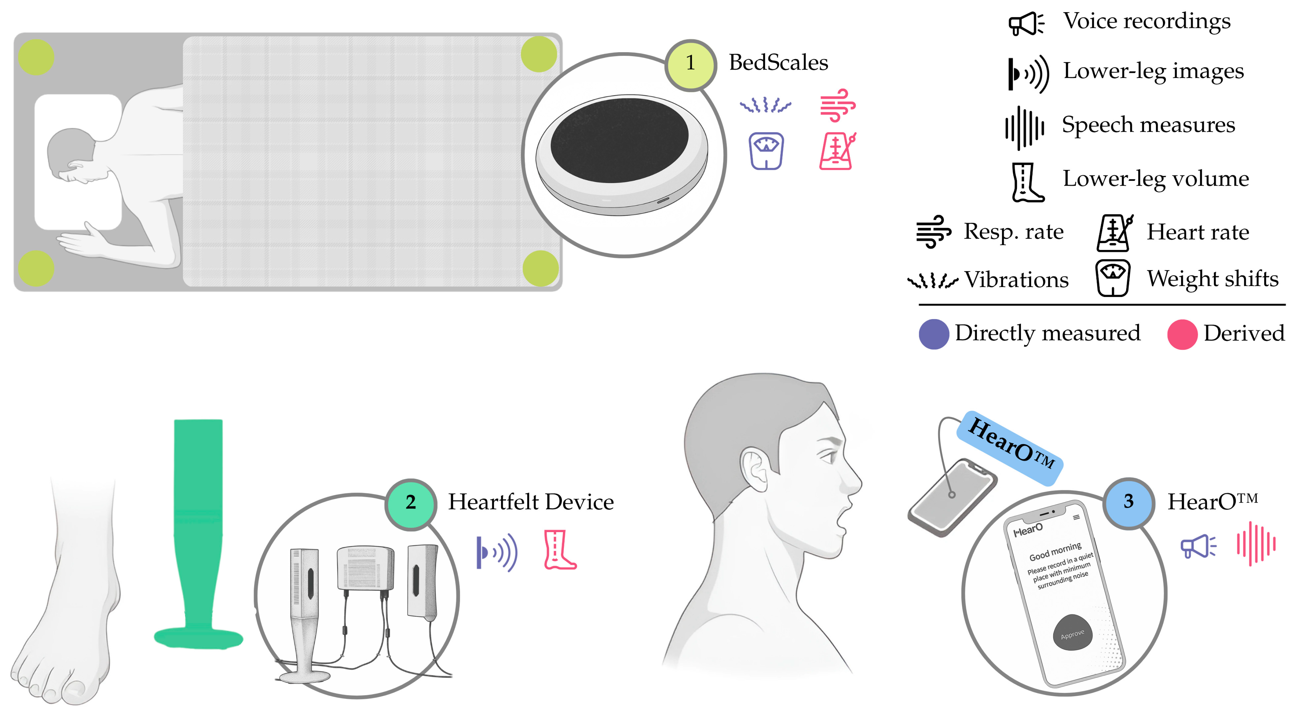 Sensors 25 06453 g009