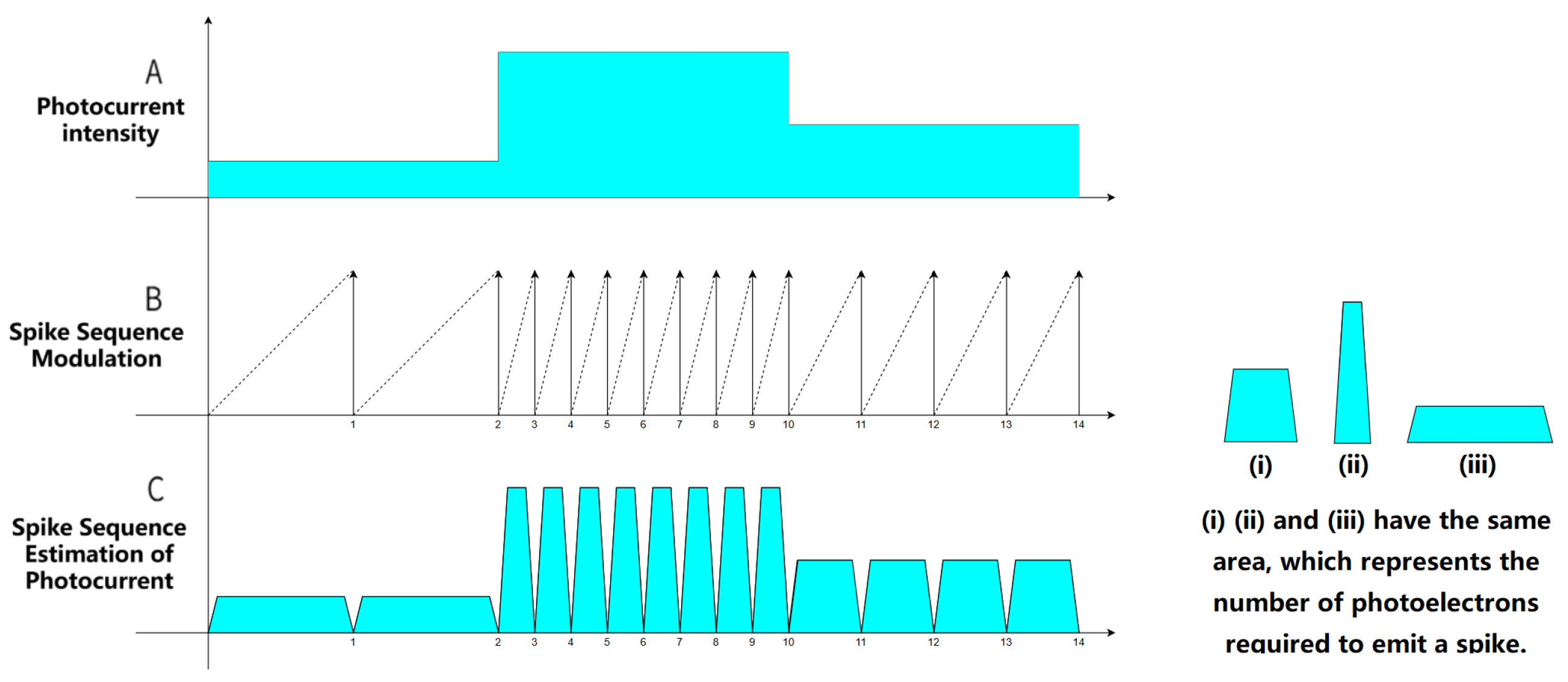 Sensors 25 06468 g004 Sensors 25 06468 g004