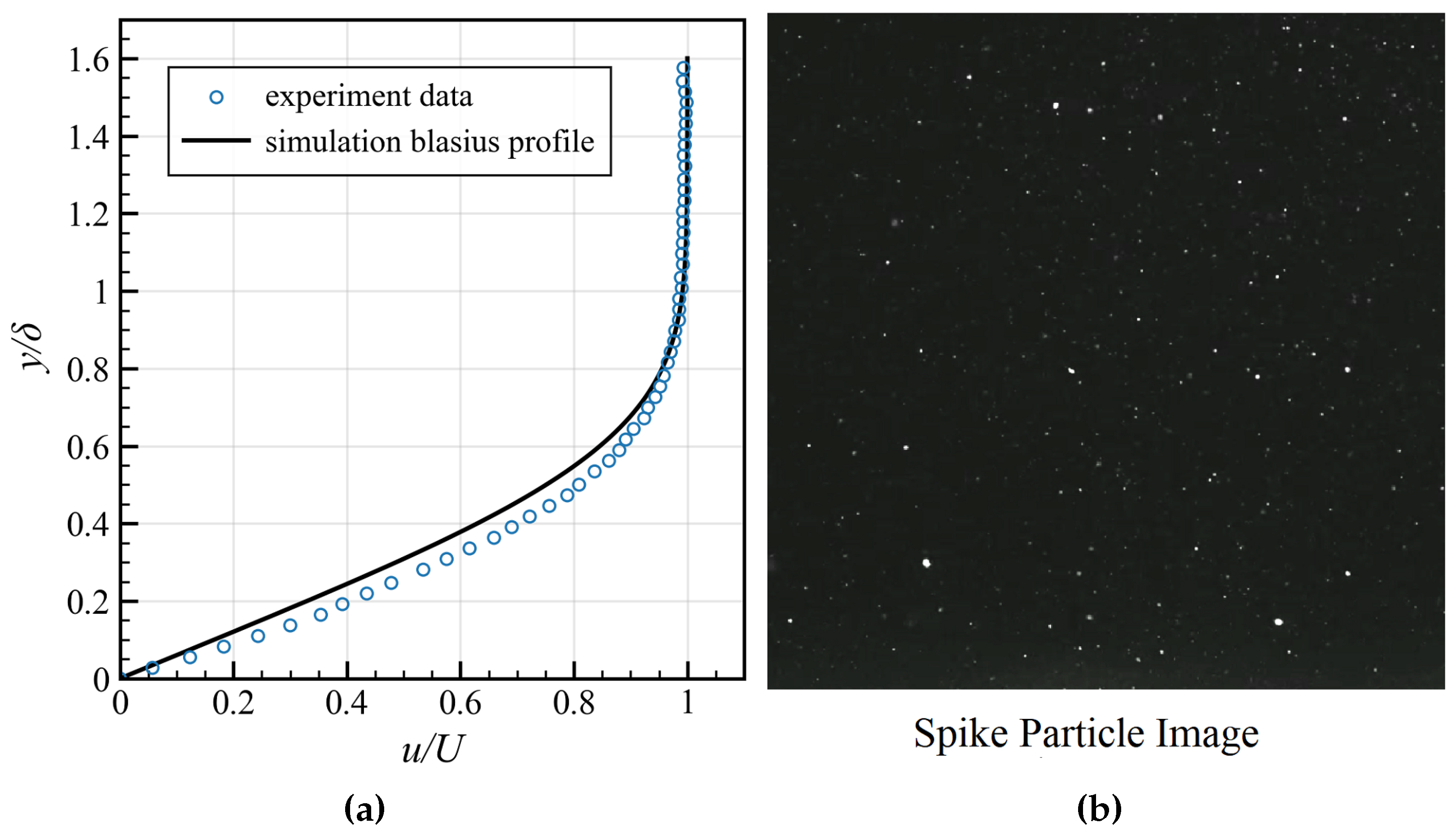 Sensors 25 06468 g015 Sensors 25 06468 g015