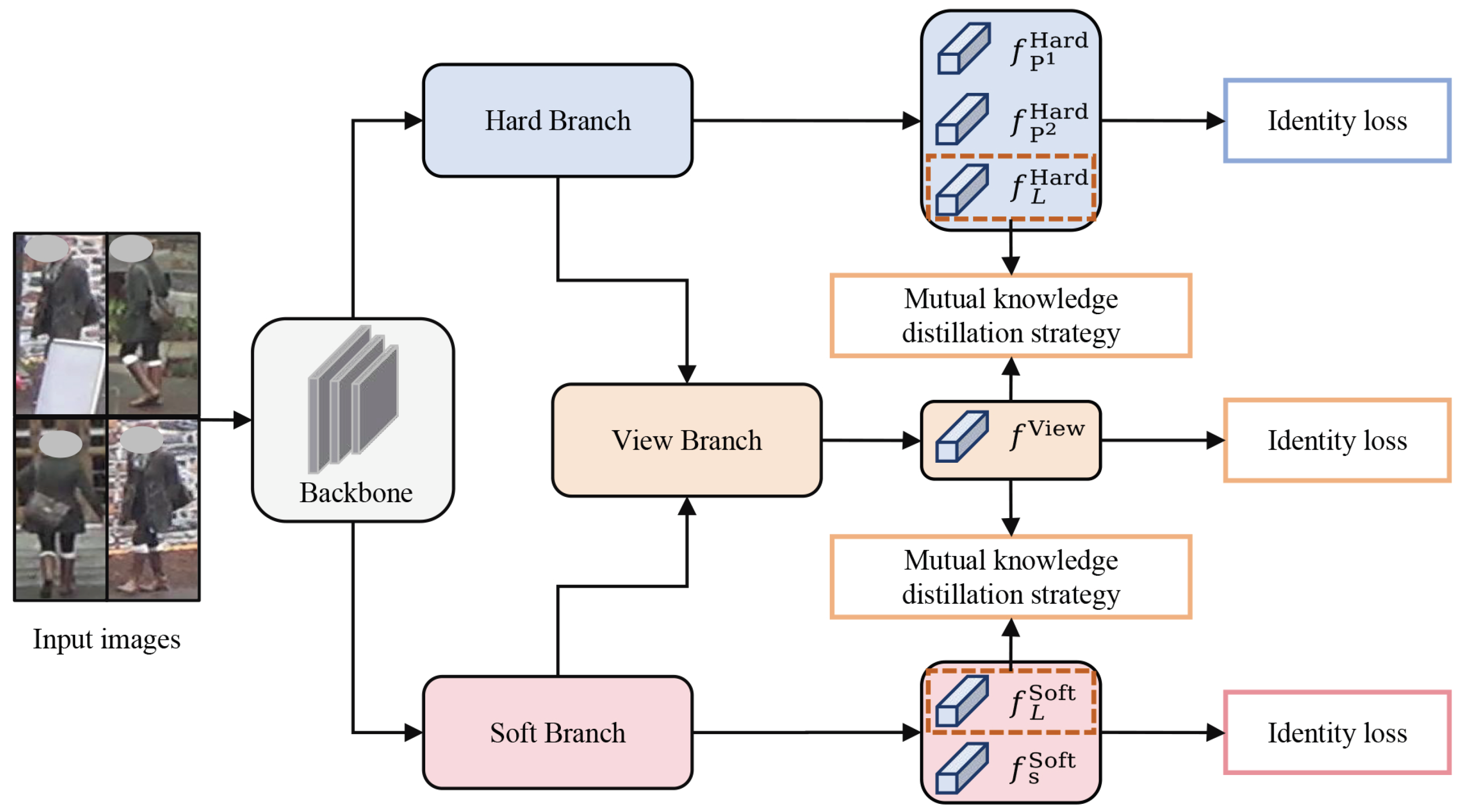 Sensors 25 06526 g001 Sensors 25 06526 g001