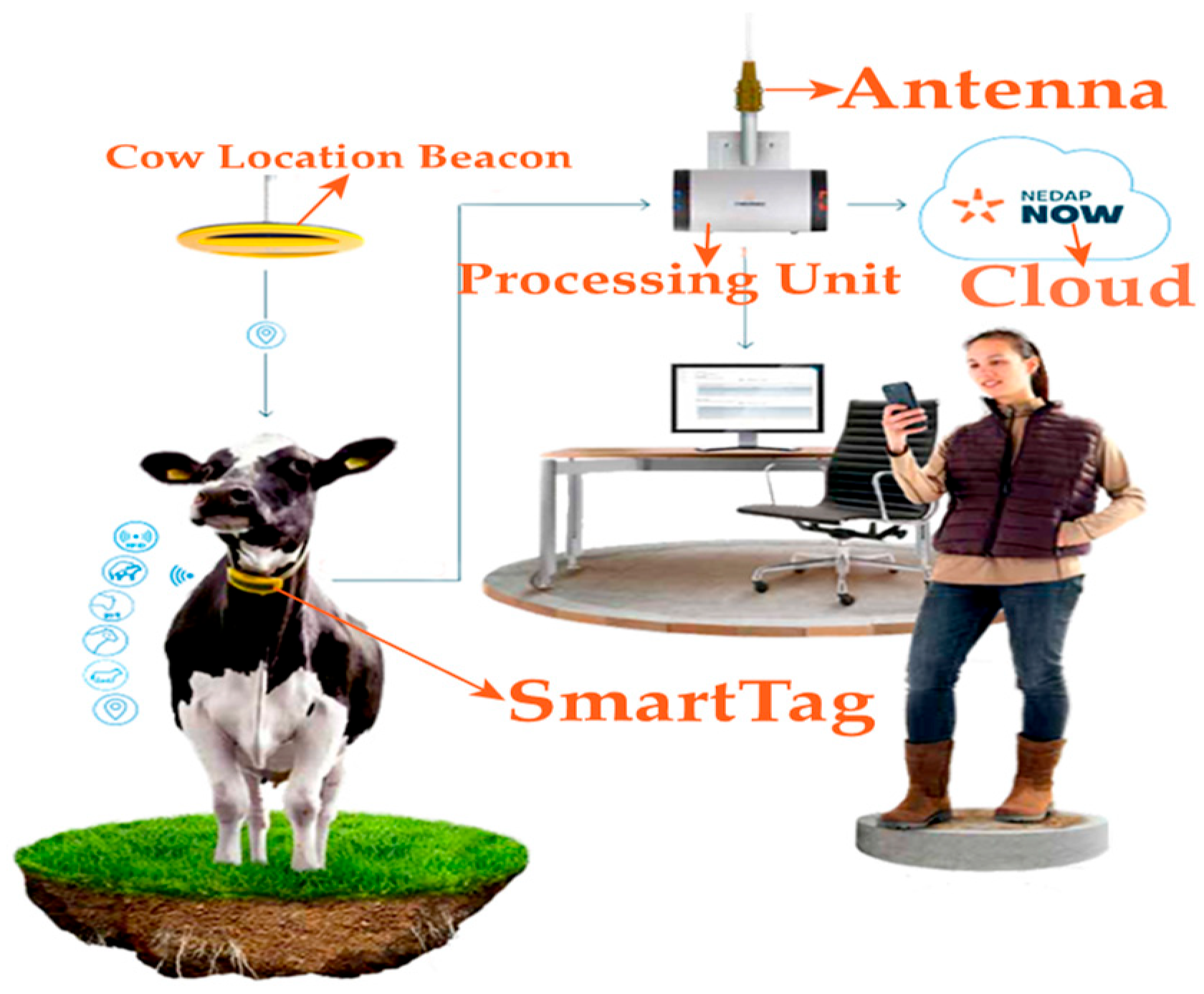 Sensors 25 06544 g001