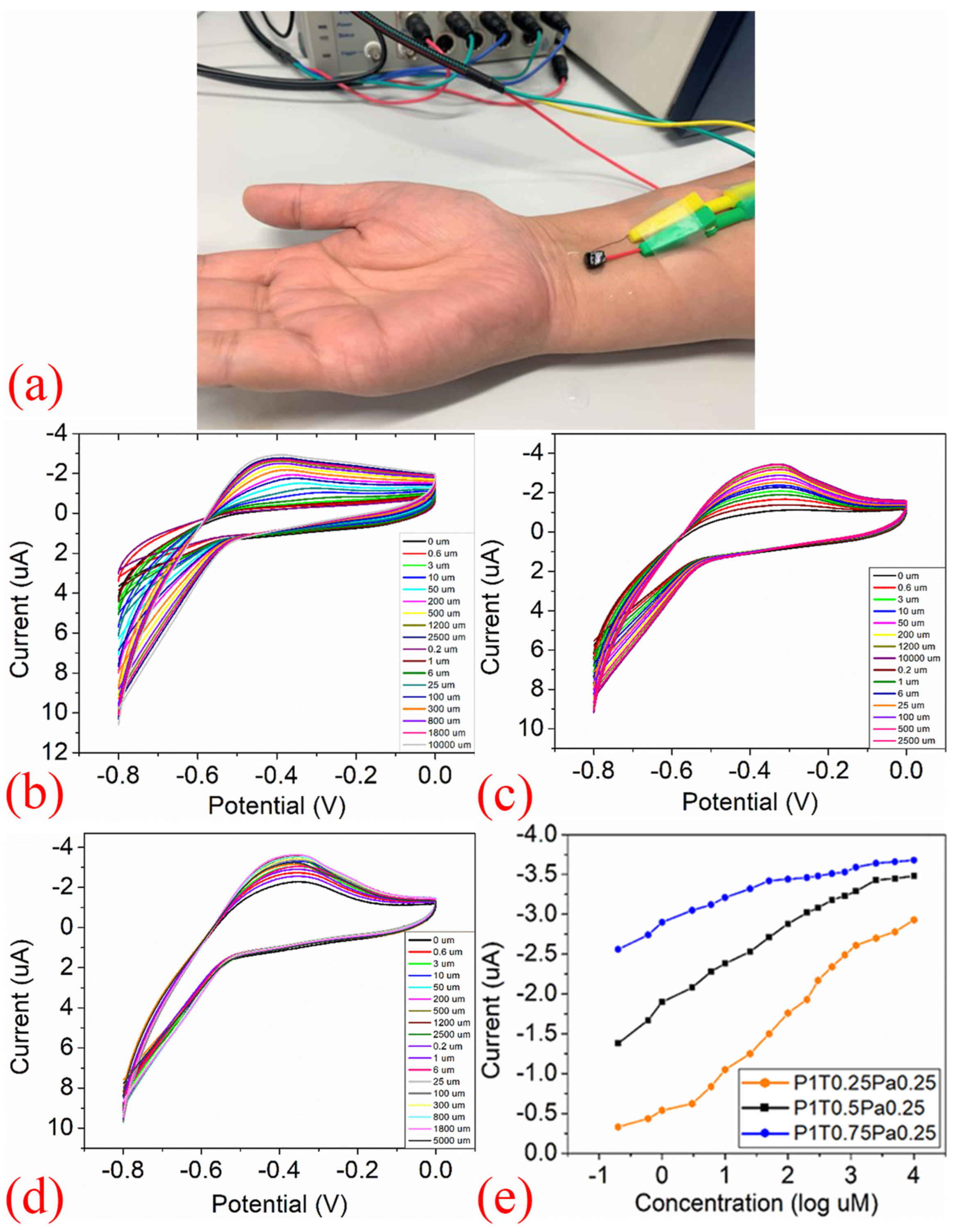 Sensors 25 06553 g003 Sensors 25 06553 g003