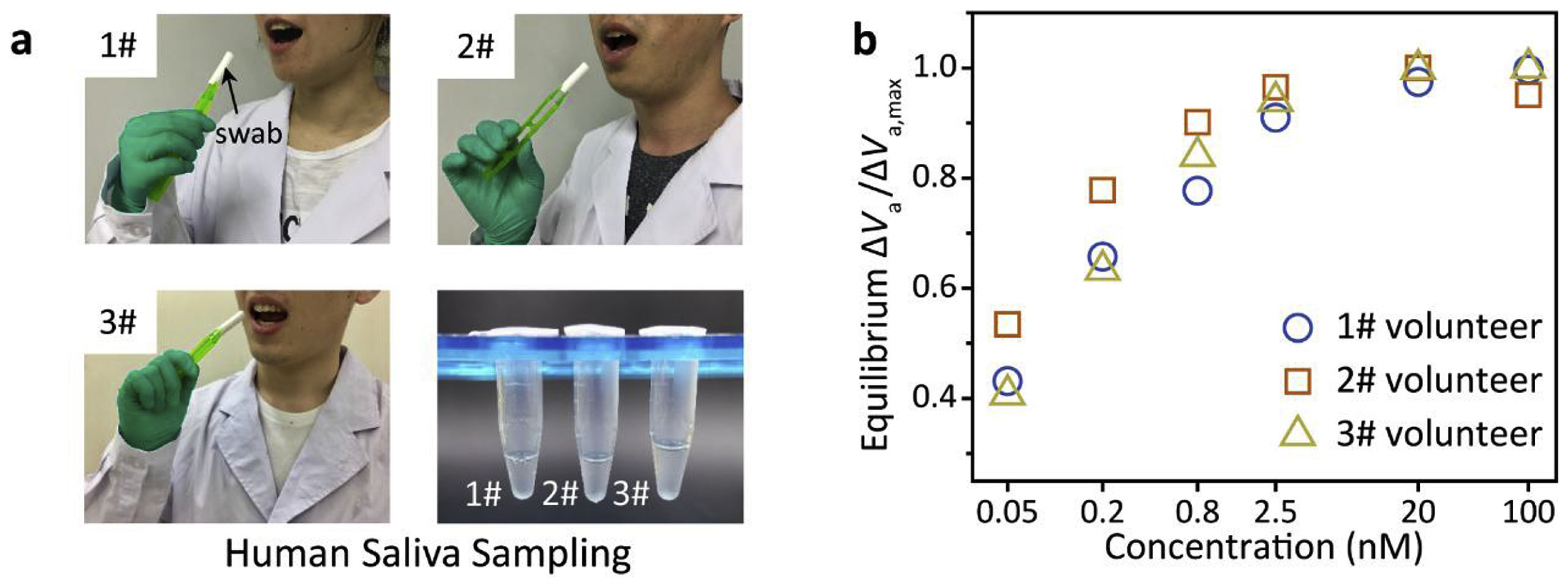 Sensors 25 06553 g006 Sensors 25 06553 g006