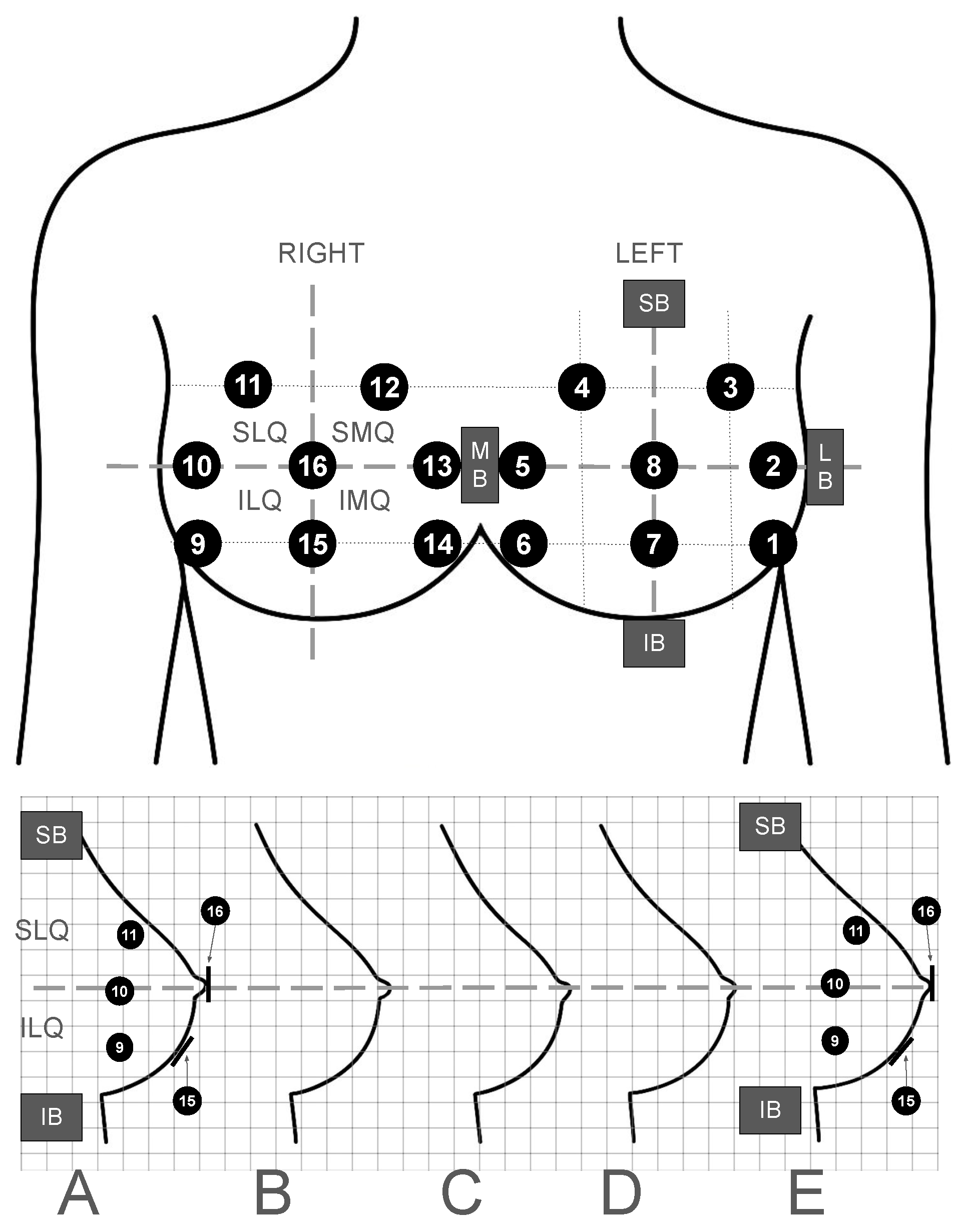 Sensors 25 06585 g001