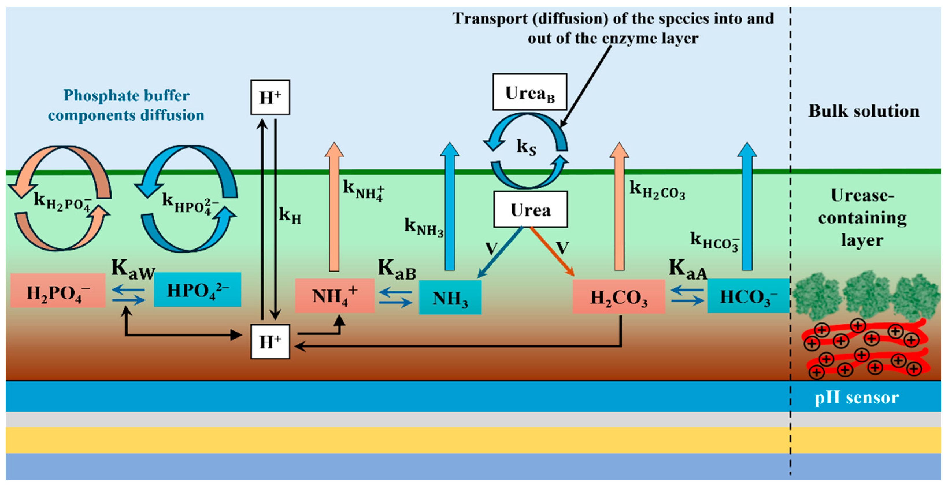 Sensors 25 06596 g001 Sensors 25 06596 g001
