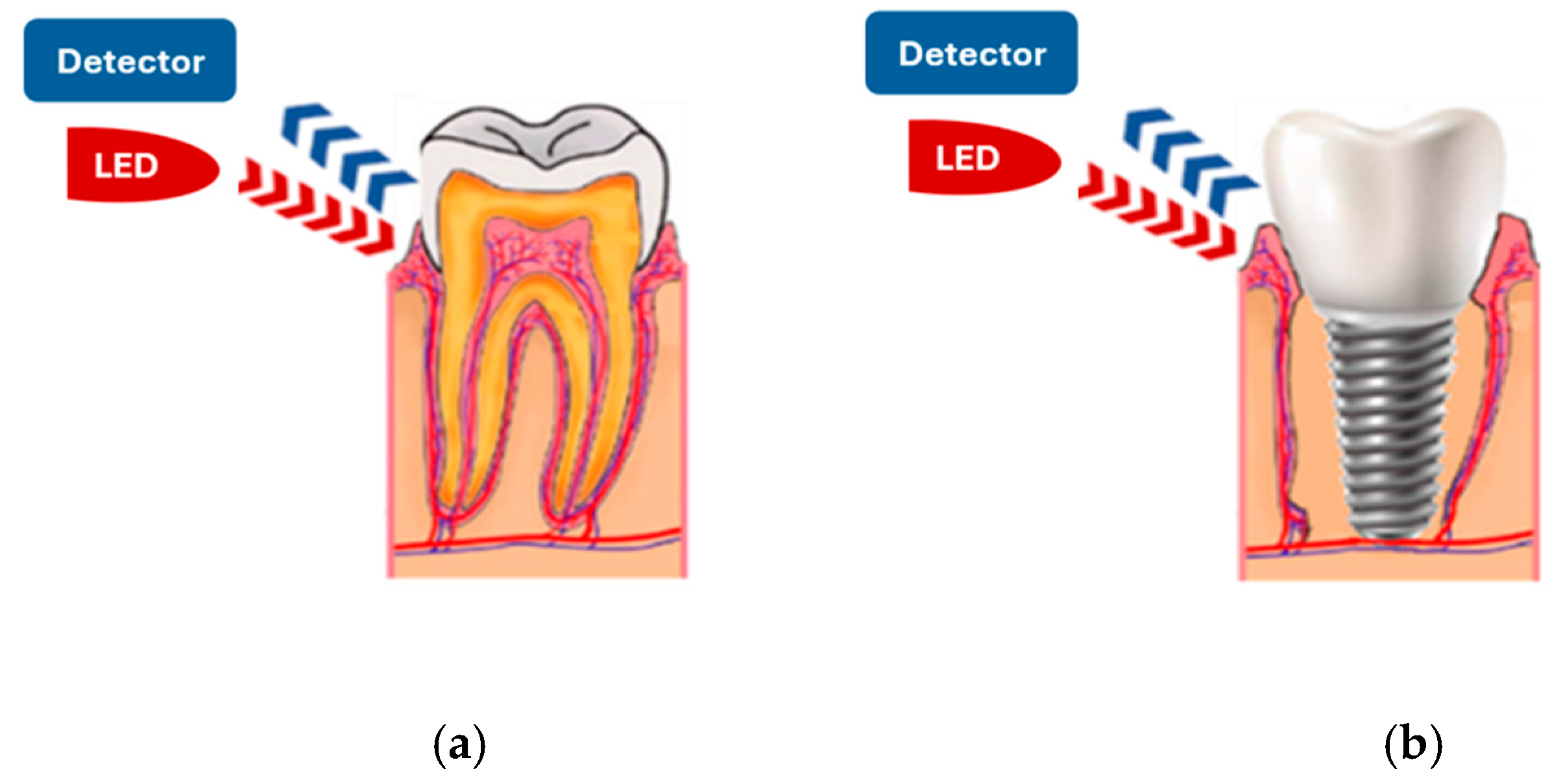 Sensors 25 06604 g002