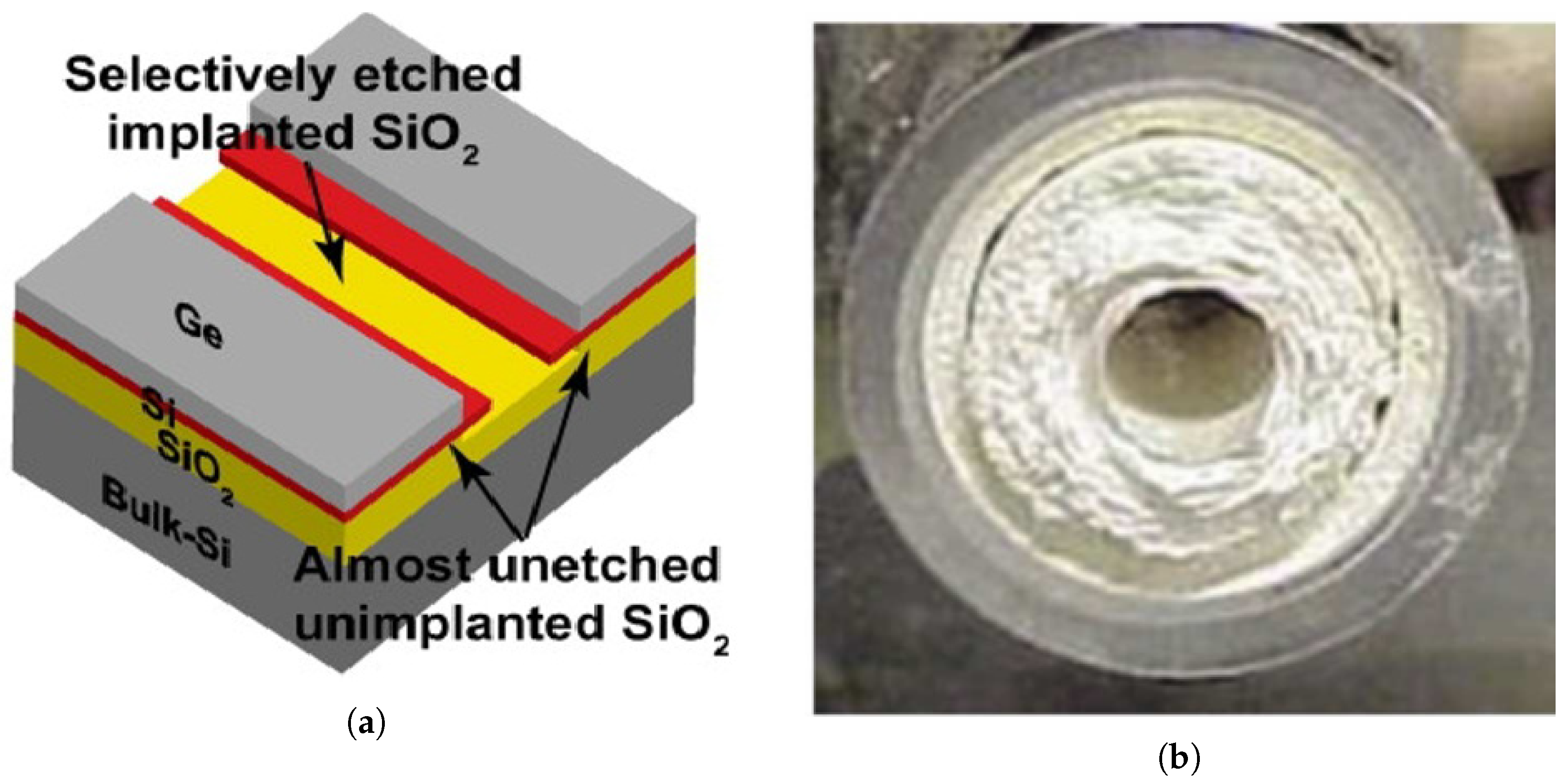 Sensors 25 06618 g005 Sensors 25 06618 g005