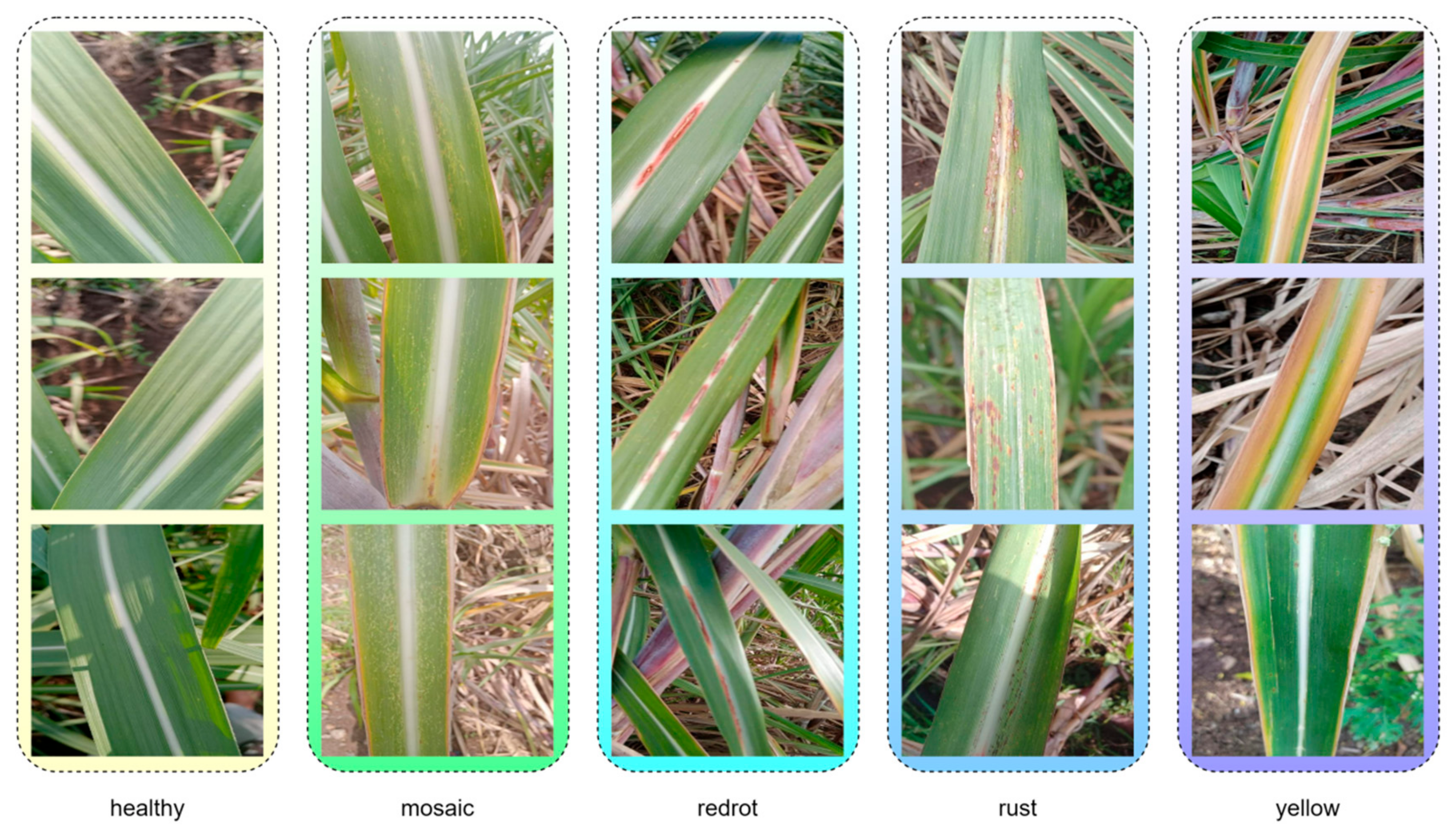 Sensors 25 06628 g001