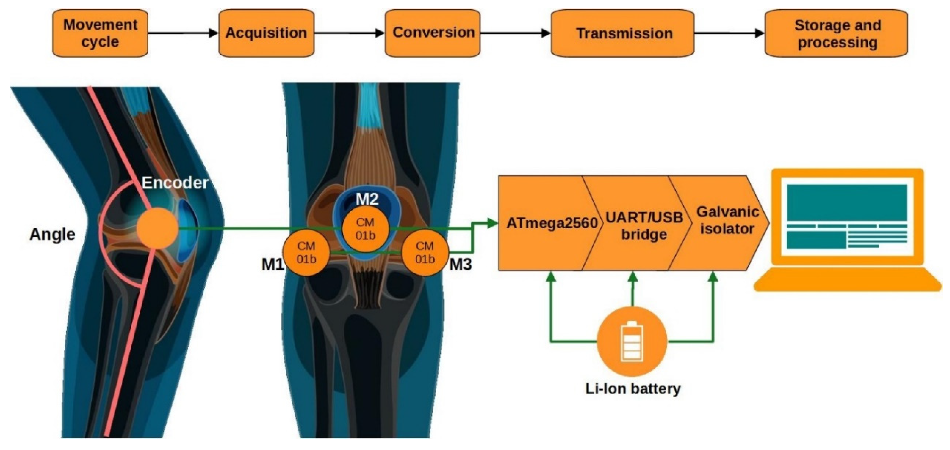 Sensors 25 06638 g001