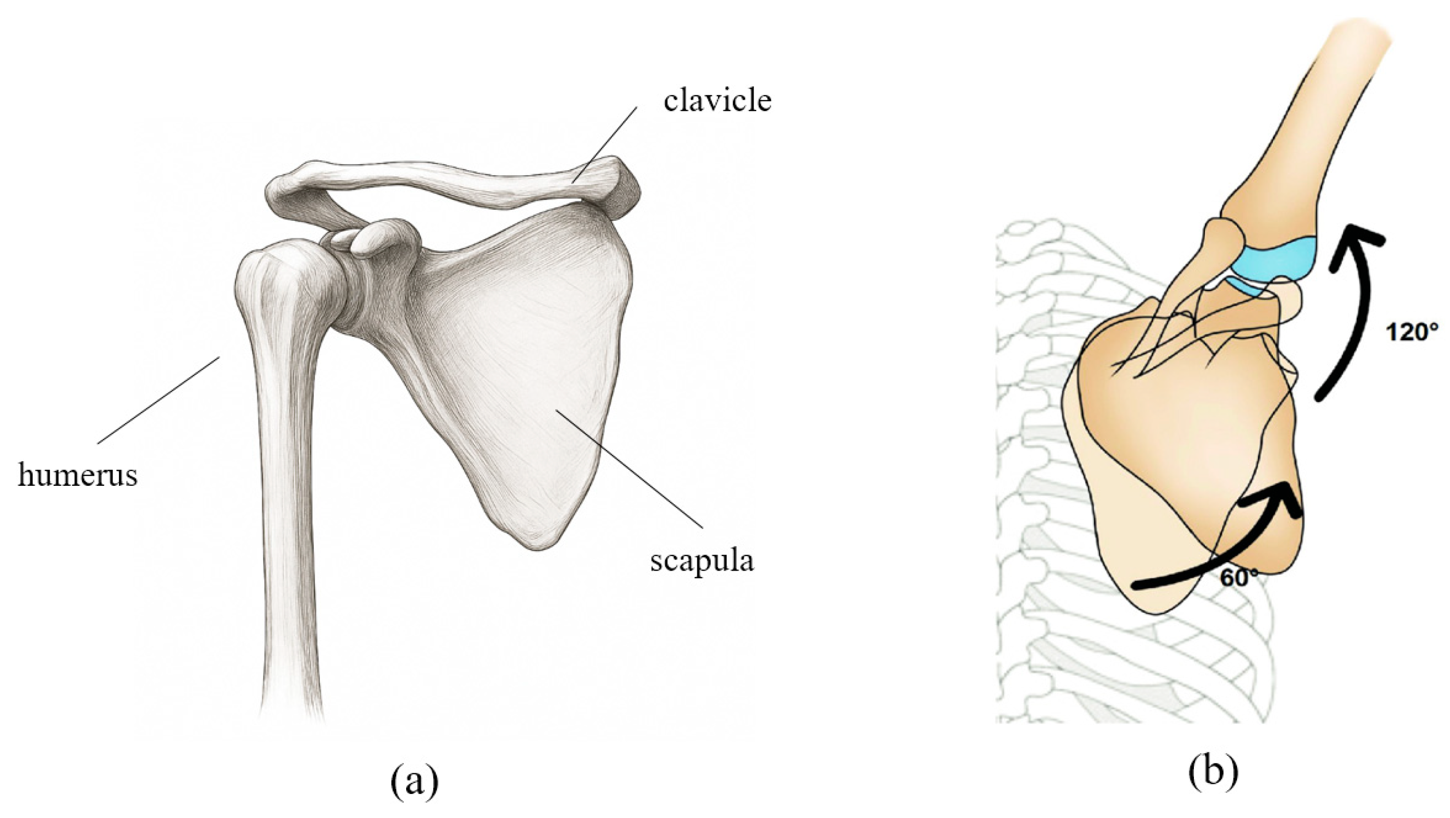 Sensors 25 06644 g001 Sensors 25 06644 g001