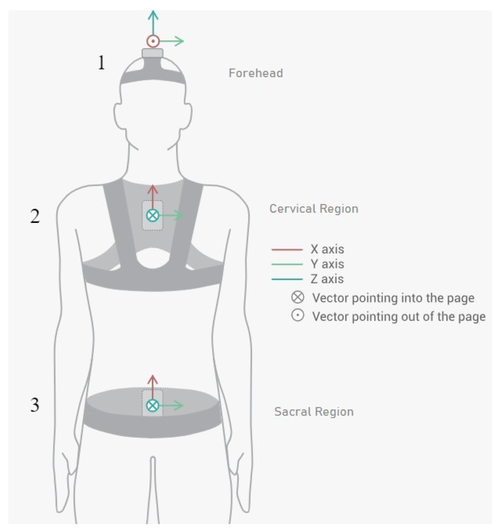 Sensors 25 06665 g001