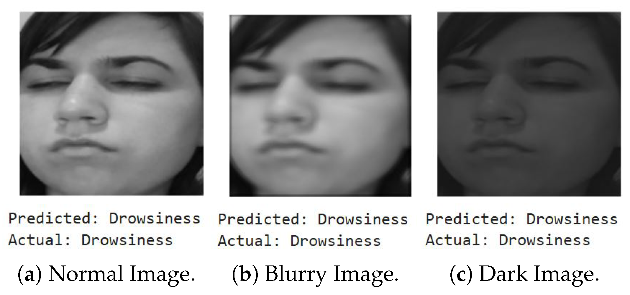 Sensors 25 06670 g016 Sensors 25 06670 g016