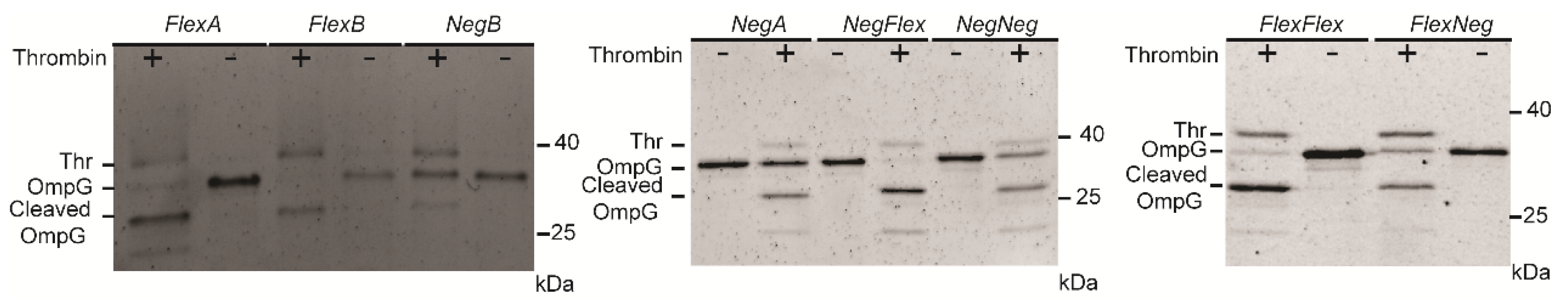Sensors 25 06681 g003 Sensors 25 06681 g003