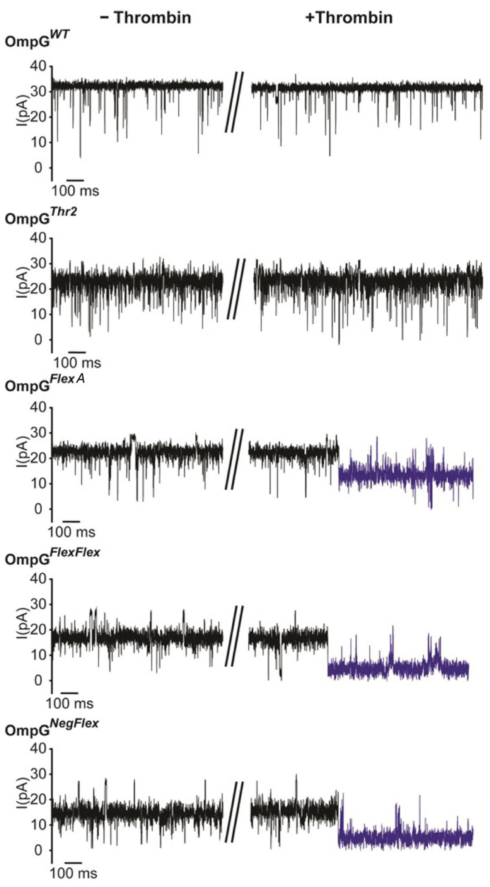 Sensors 25 06681 g004 Sensors 25 06681 g004