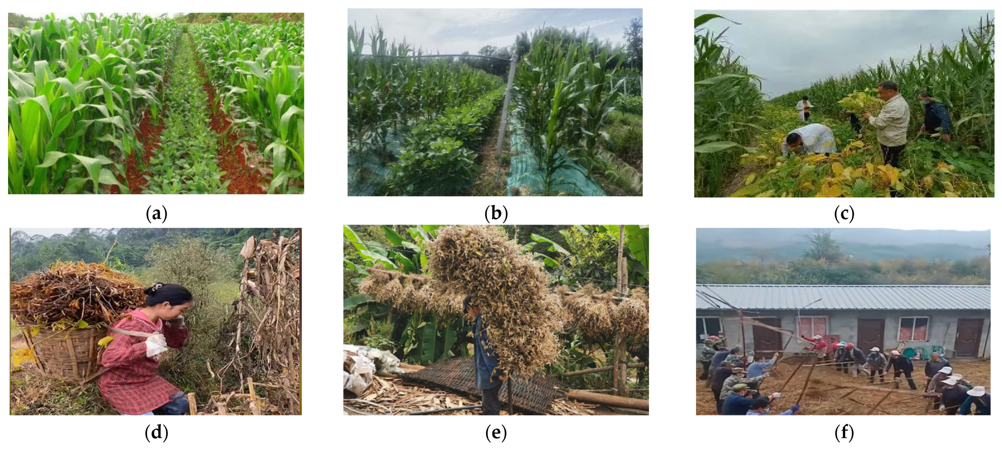 Sensors 25 06695 g001 Sensors 25 06695 g001