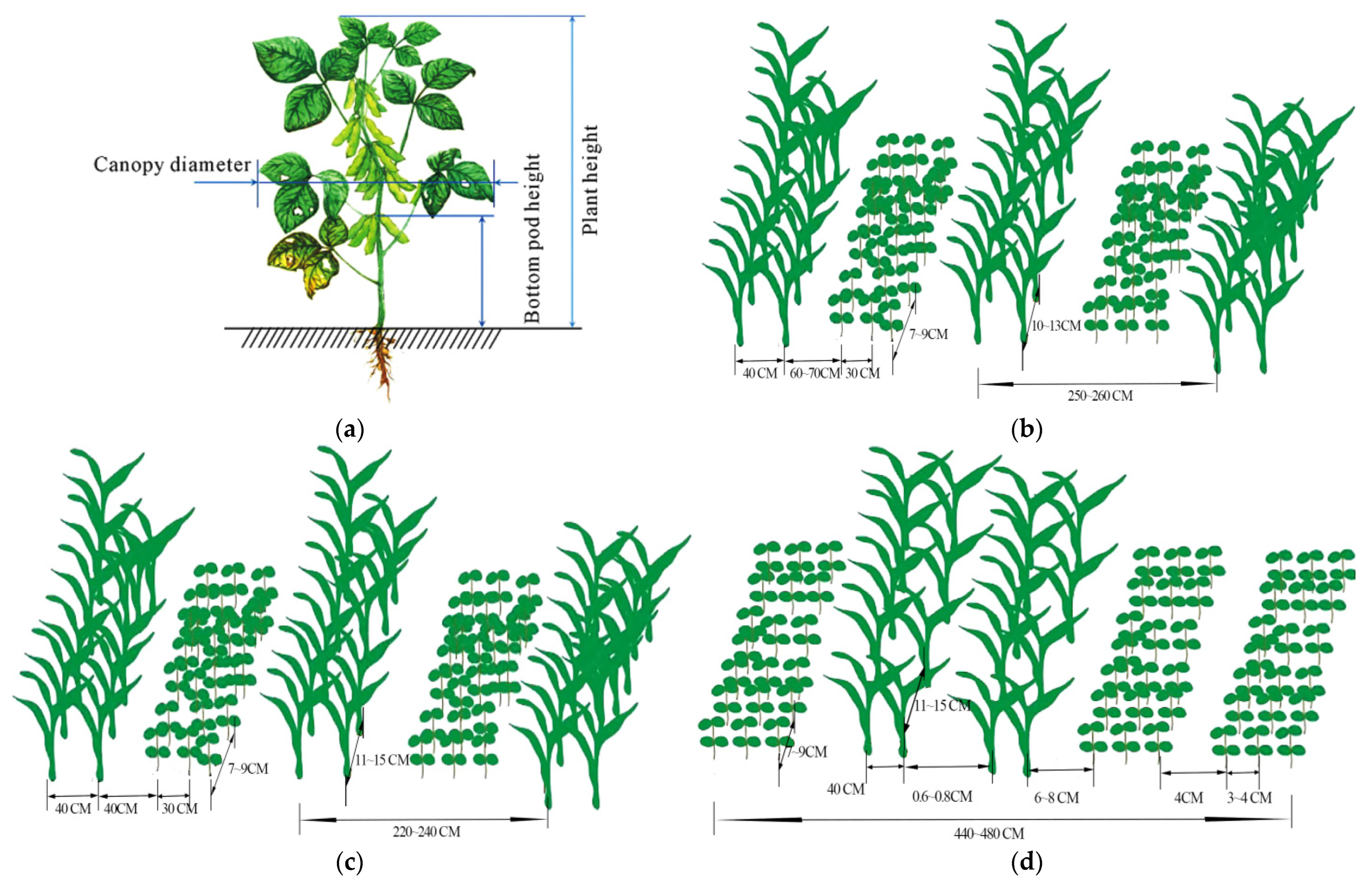Sensors 25 06695 g002 Sensors 25 06695 g002