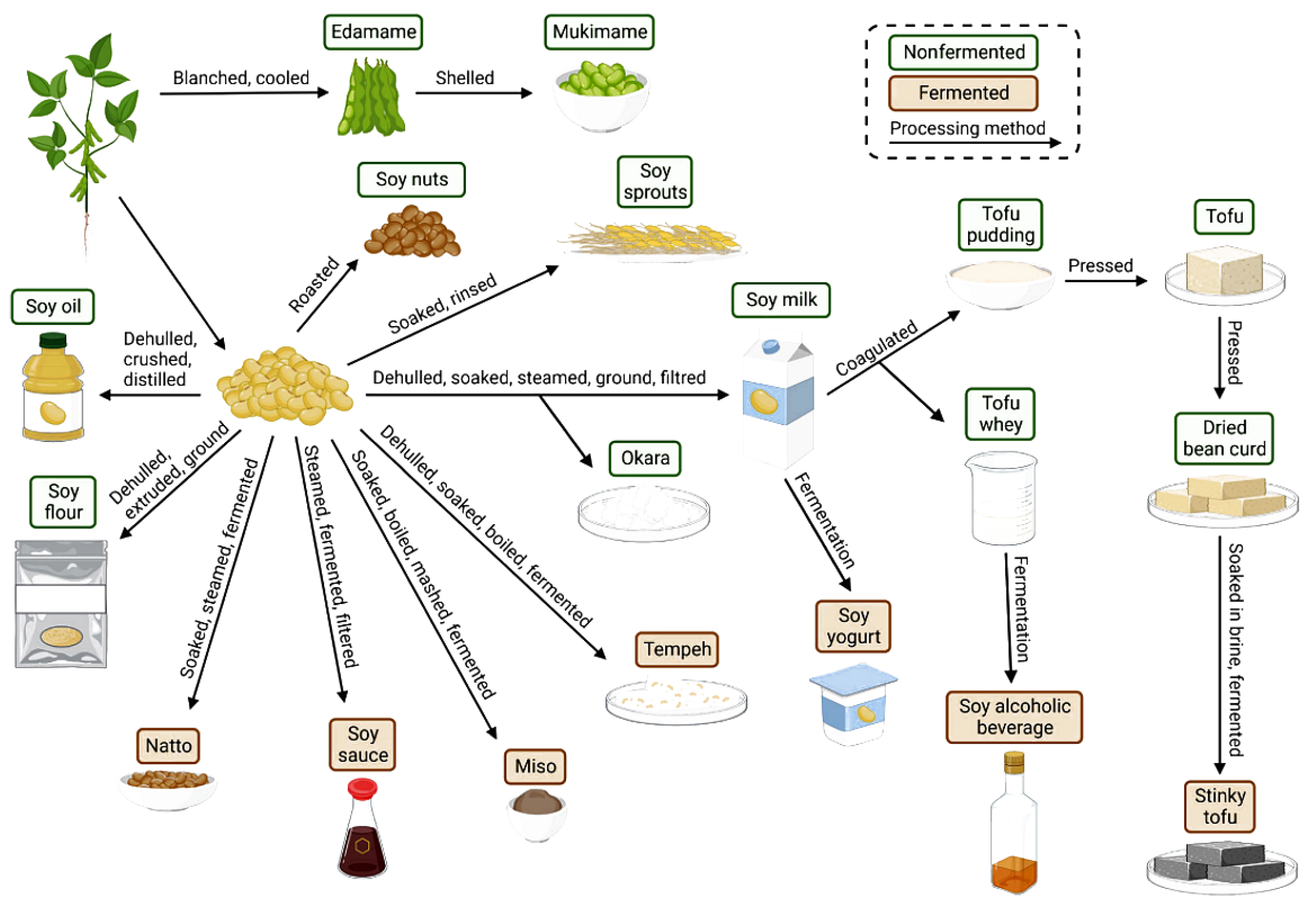 Sensors 25 06695 g004 Sensors 25 06695 g004
