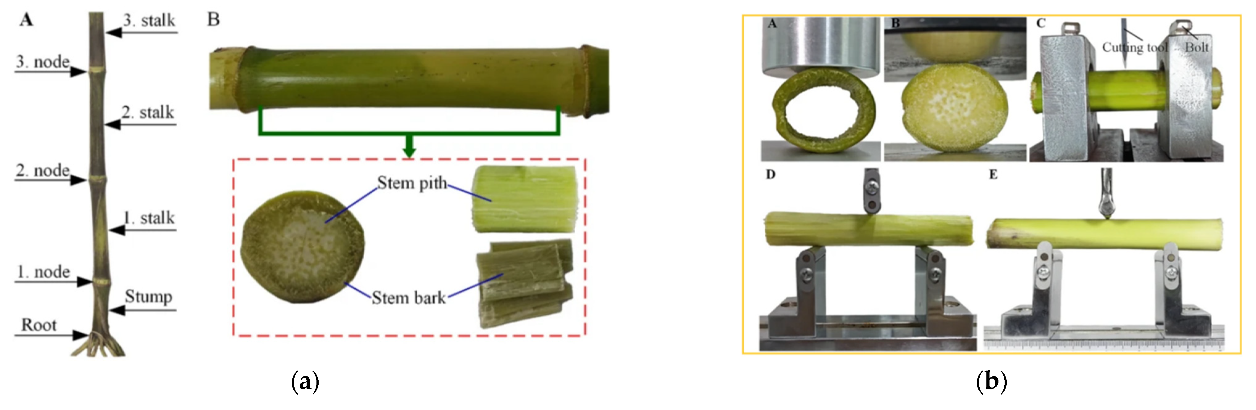 Sensors 25 06695 g010 Sensors 25 06695 g010