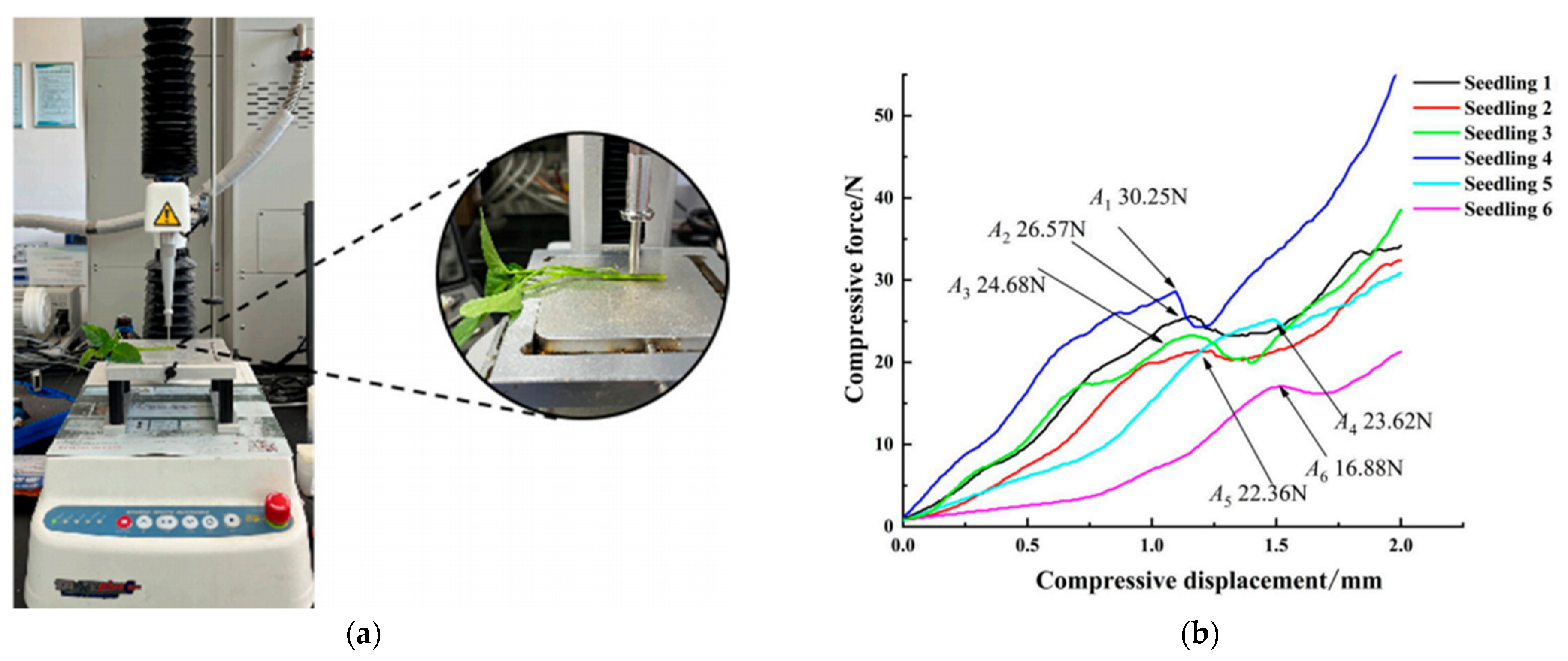 Sensors 25 06695 g011 Sensors 25 06695 g011
