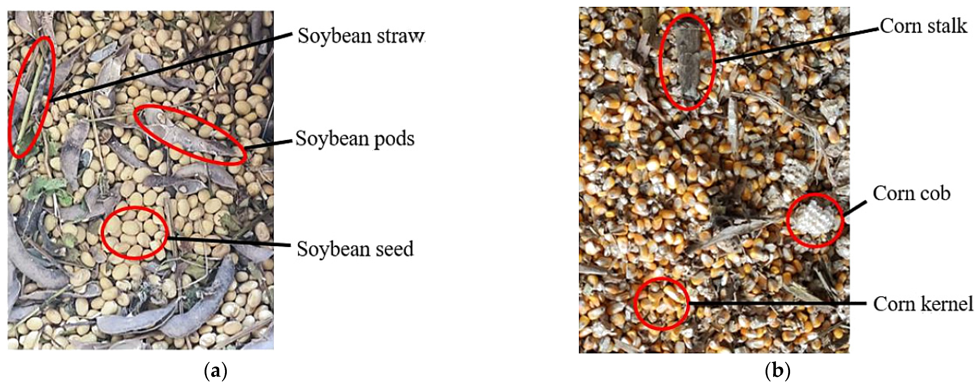 Sensors 25 06695 g021 Sensors 25 06695 g021