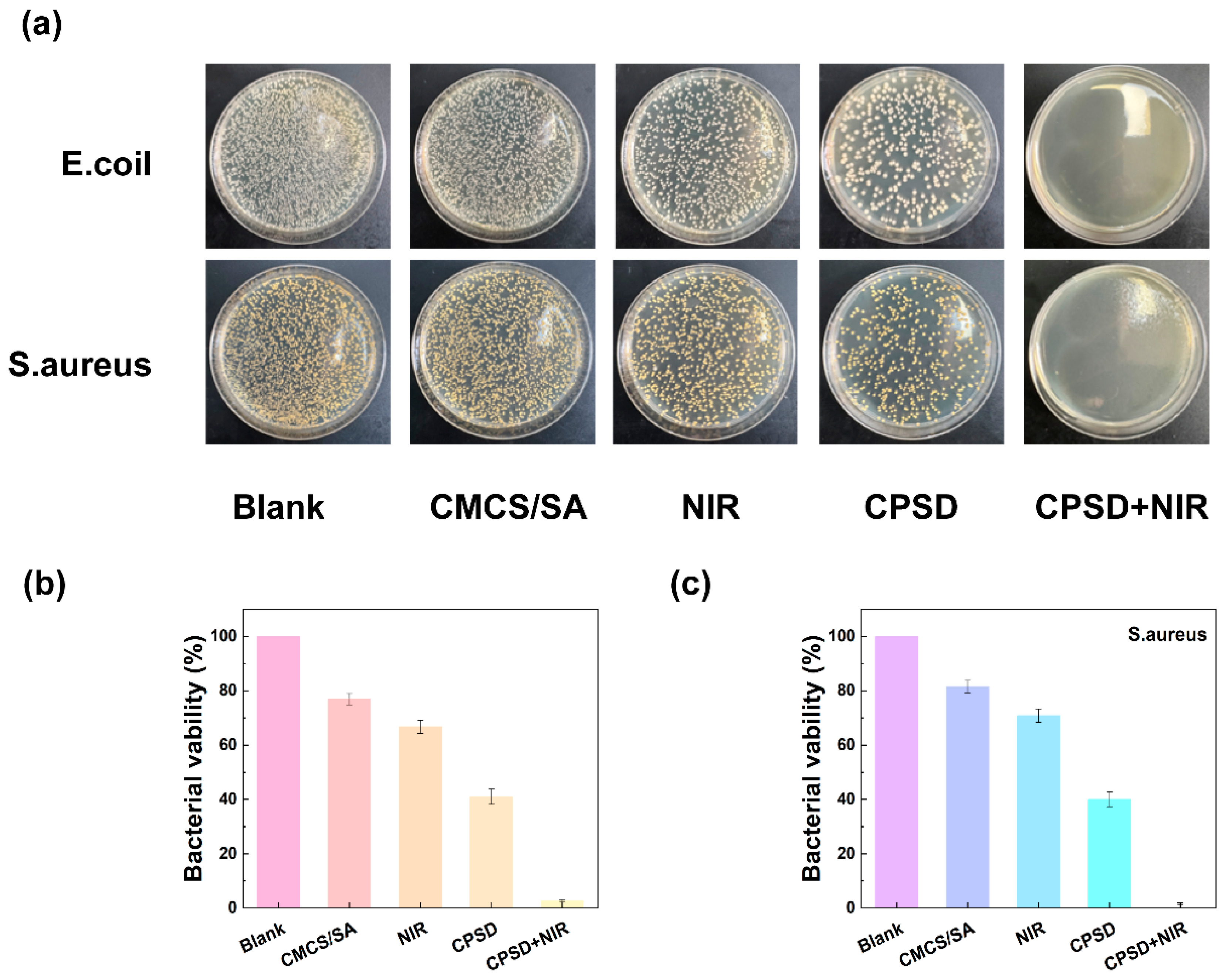 Sensors 25 06727 g004