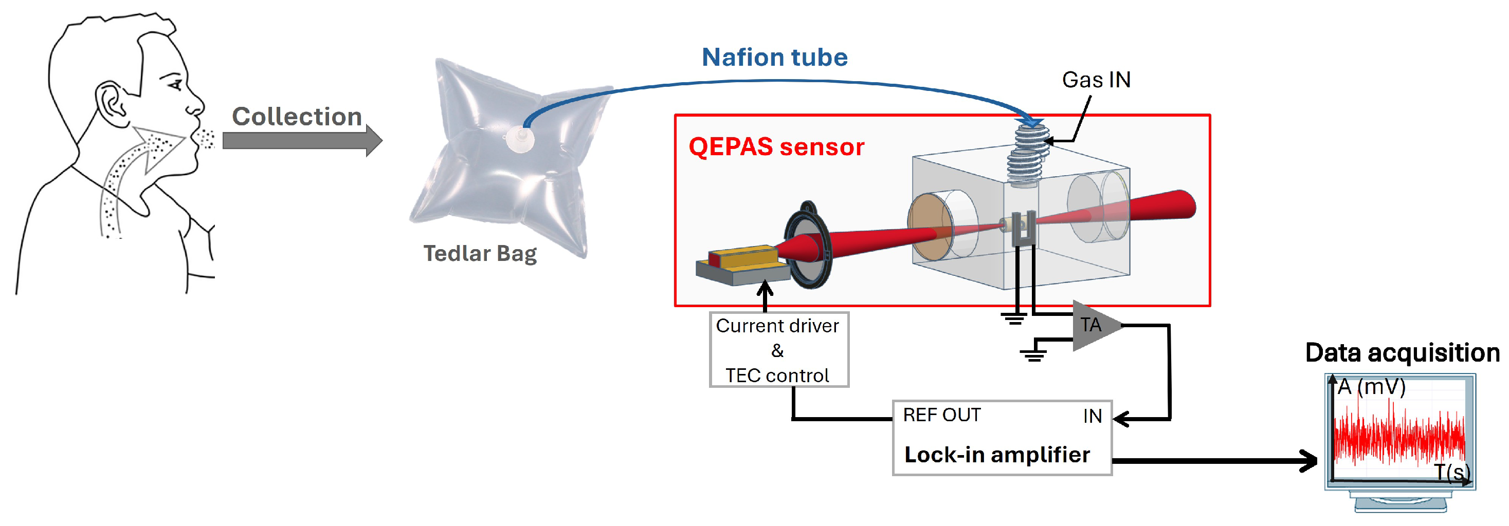 Sensors 25 06732 g009