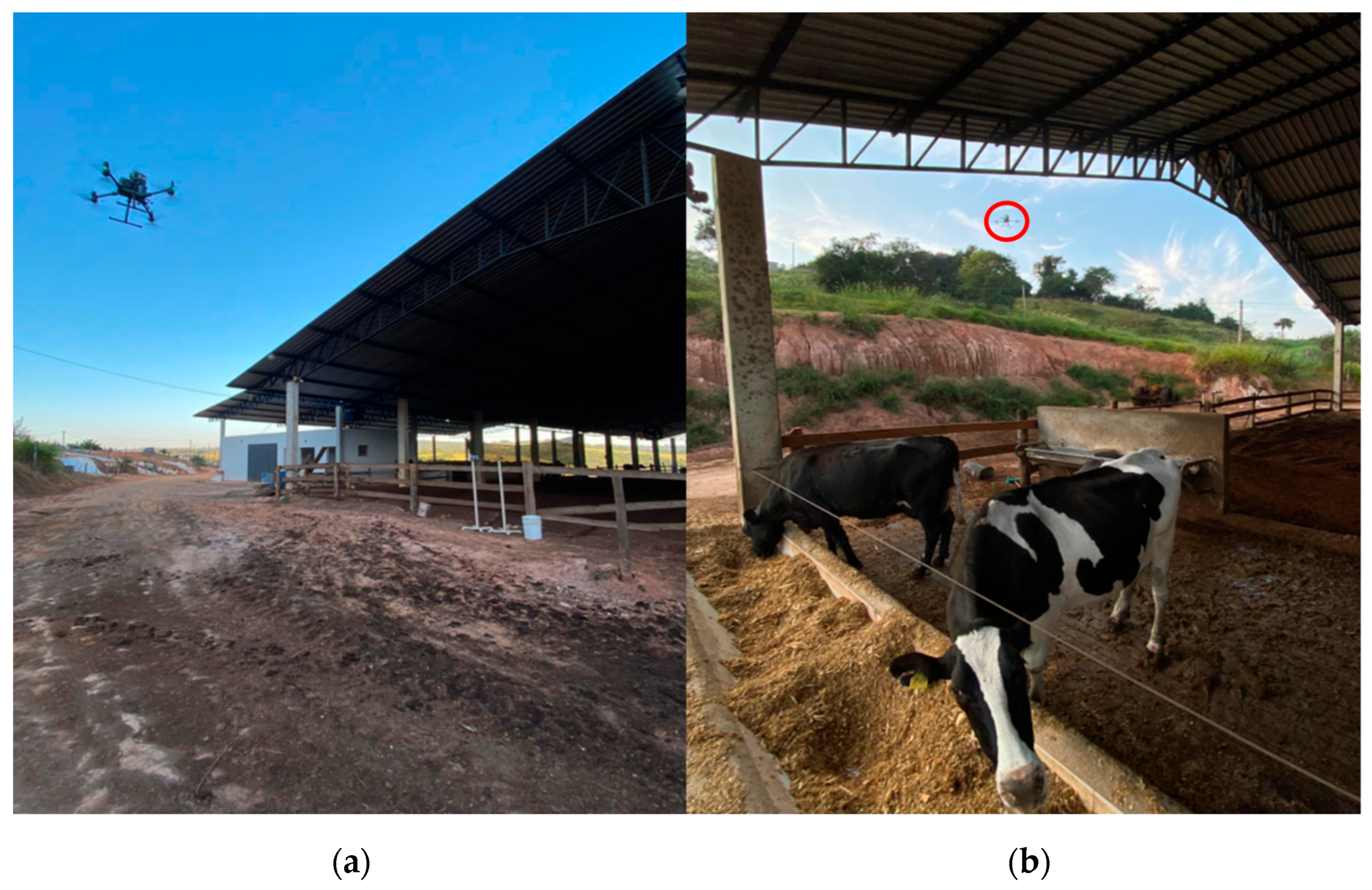 Sensors 25 06733 g005 Sensors 25 06733 g005