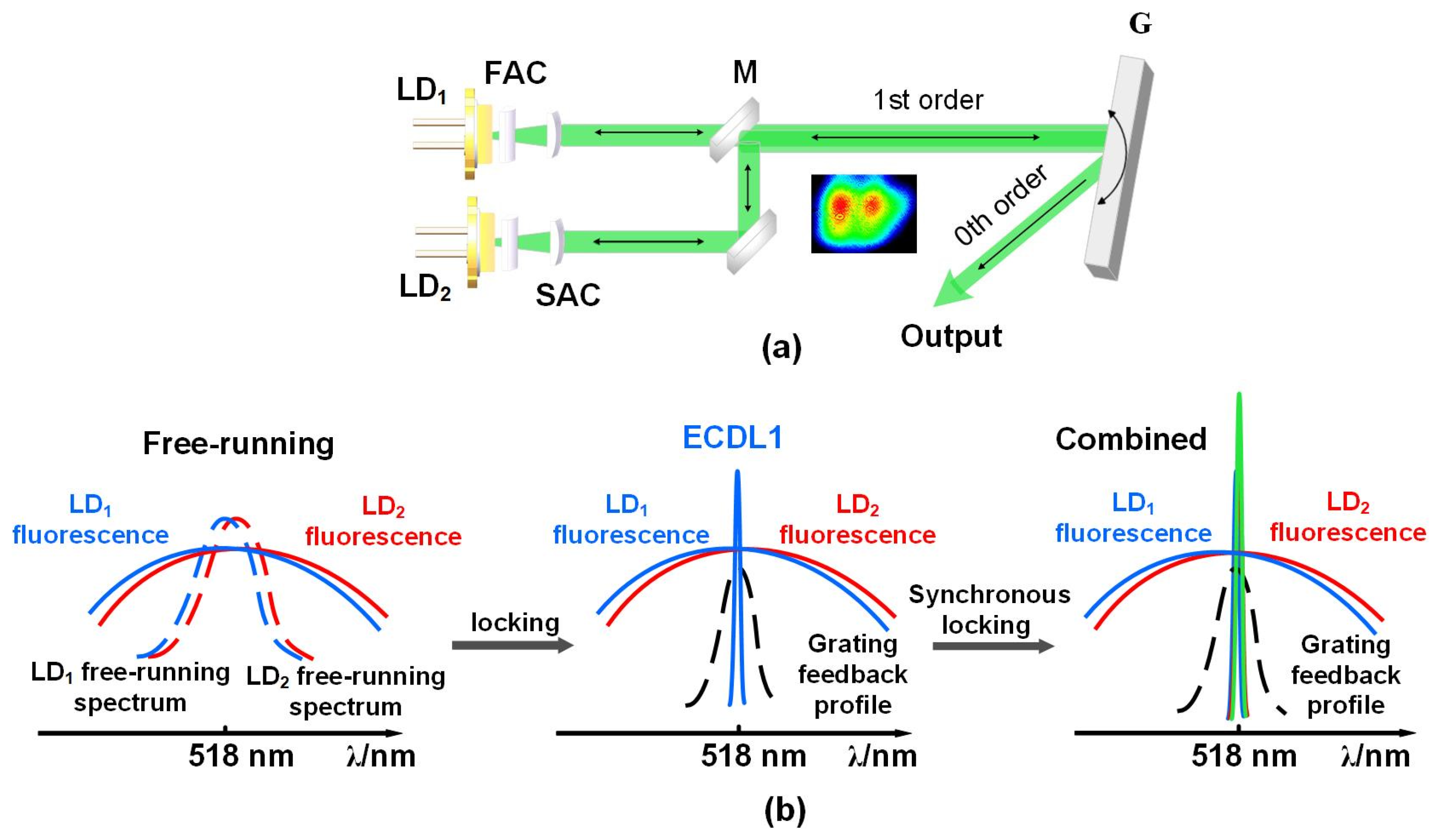 Sensors 25 06758 g001 Sensors 25 06758 g001