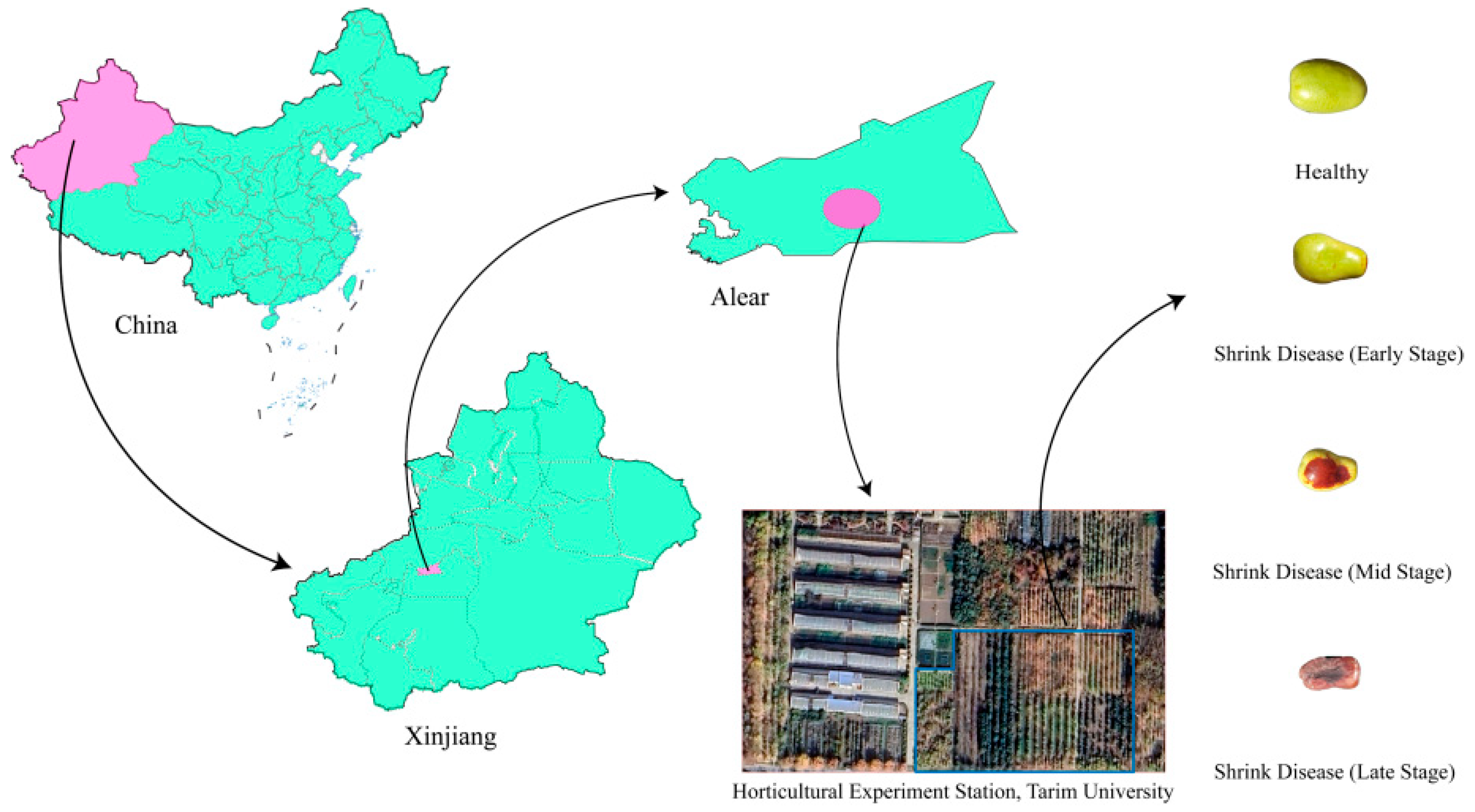 Sensors 25 06763 g002