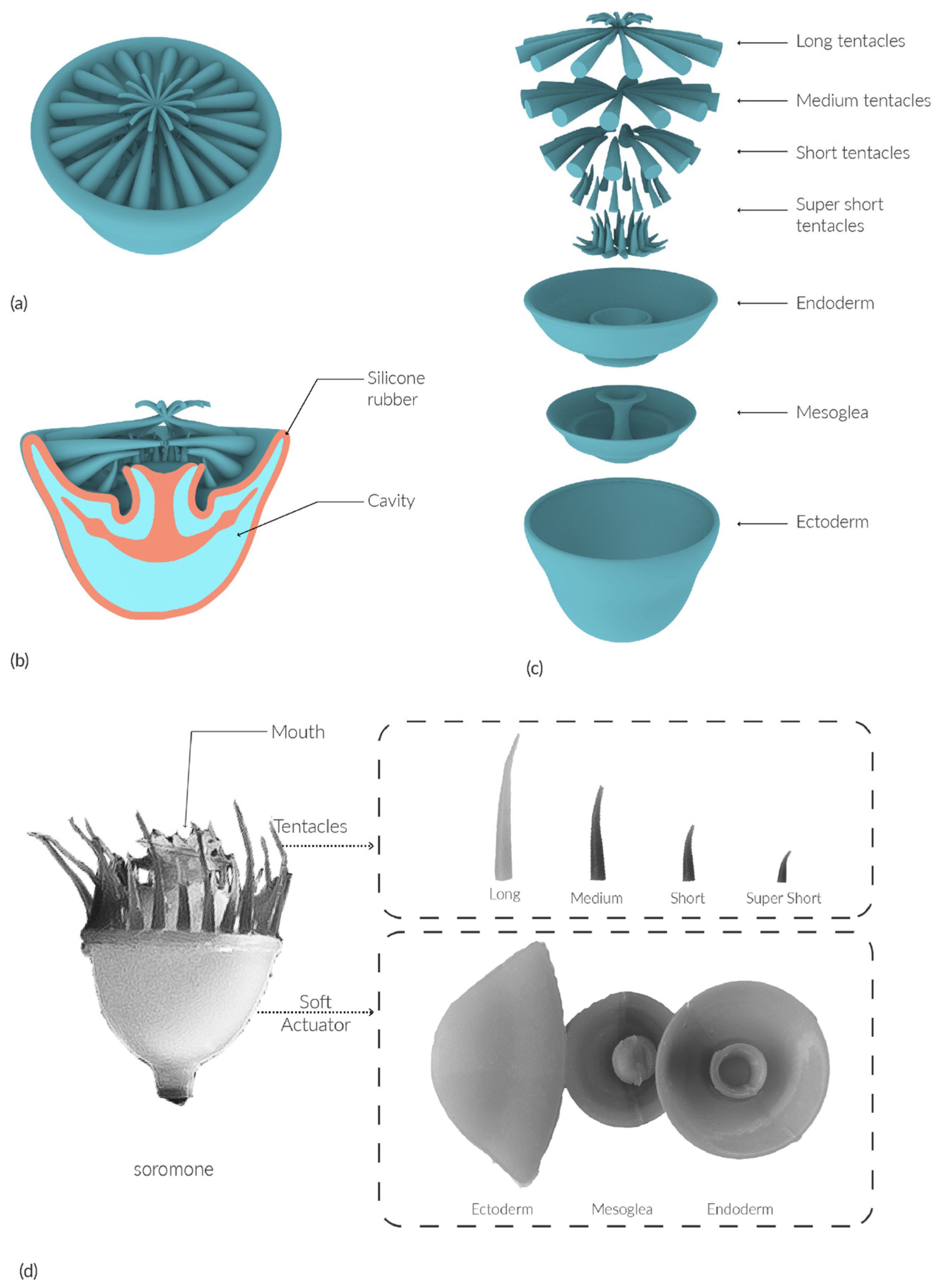 Sensors 25 06780 g005