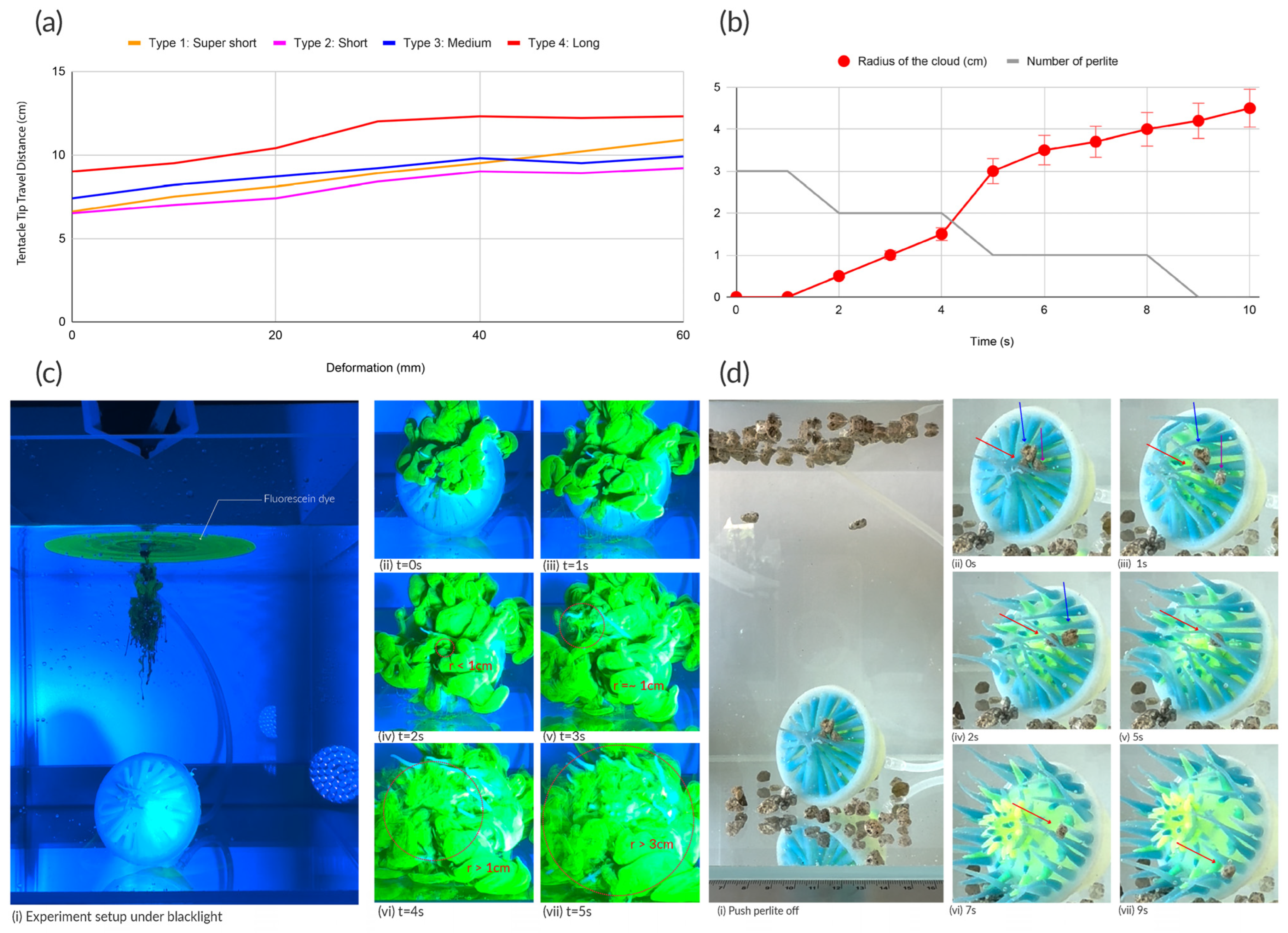 Sensors 25 06780 g009