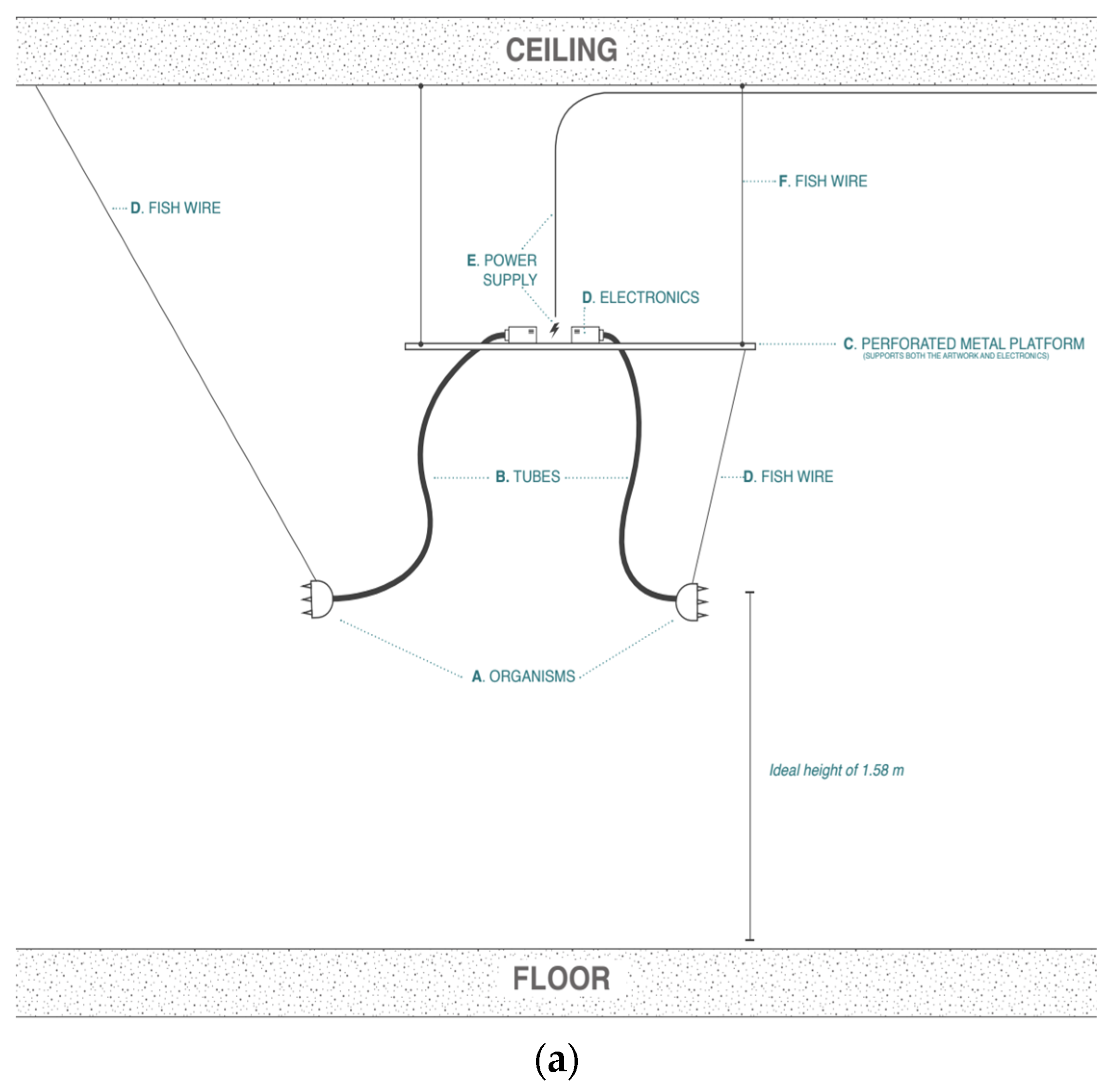 Sensors 25 06780 g010a