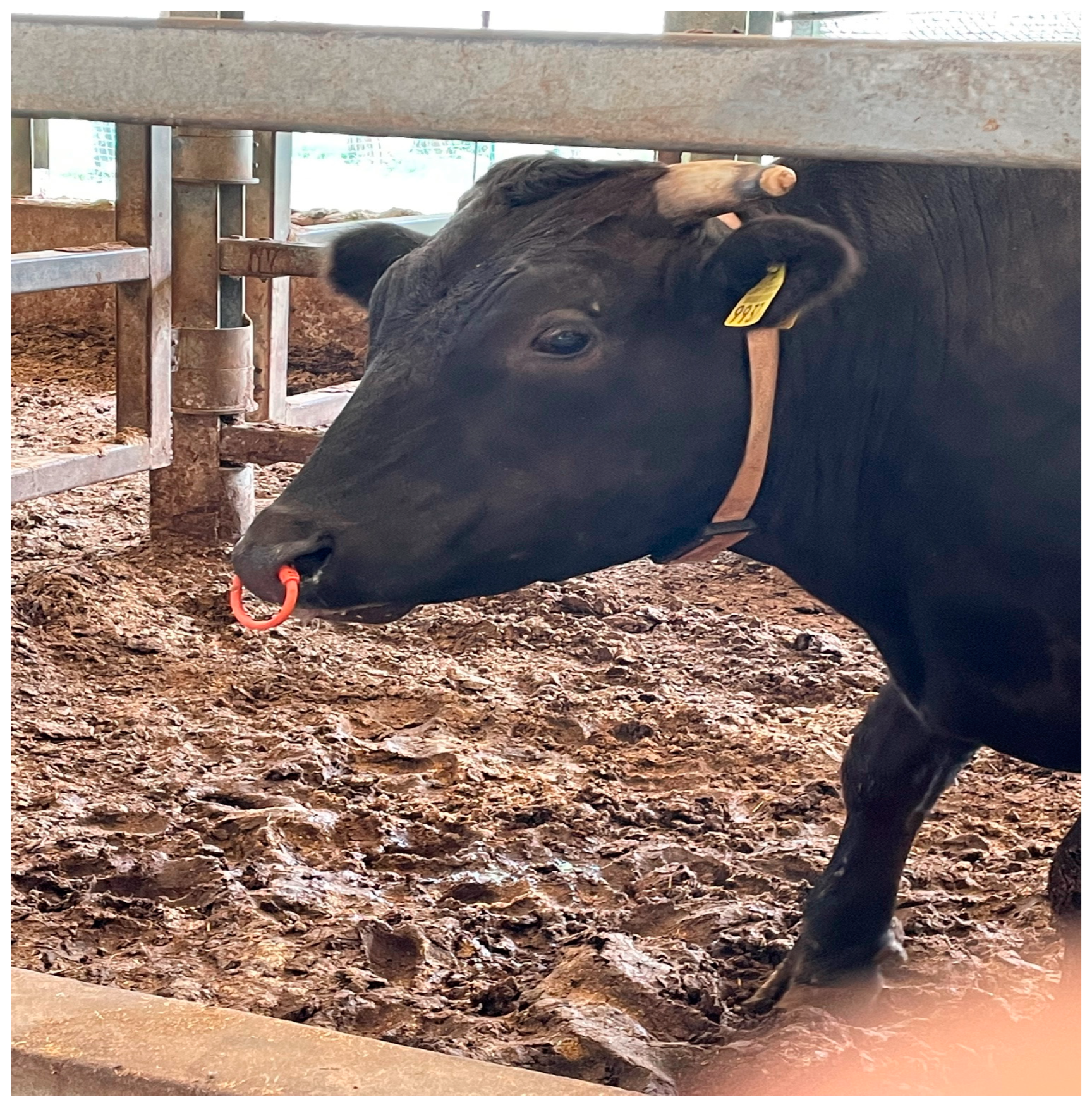 Sensors 25 06781 g002 Sensors 25 06781 g002