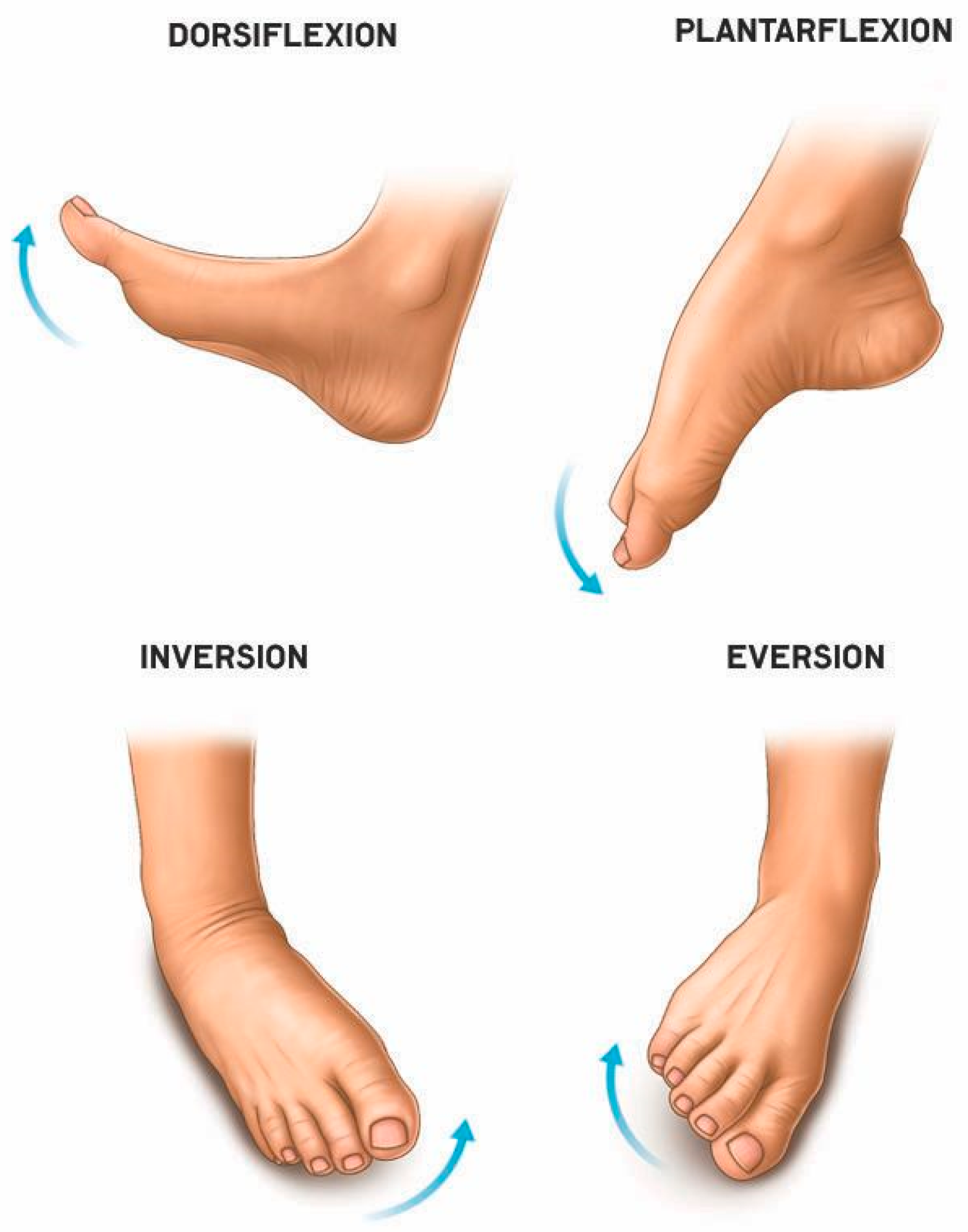Sensors 25 06784 g001 Sensors 25 06784 g001