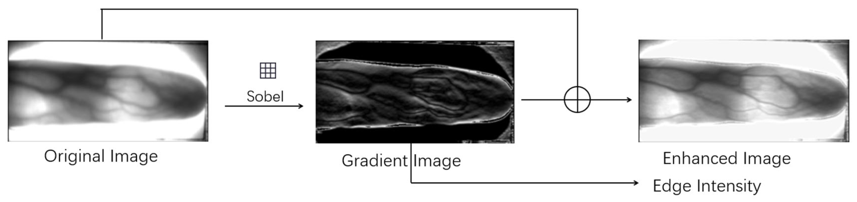 Sensors 25 06790 g003 Sensors 25 06790 g003