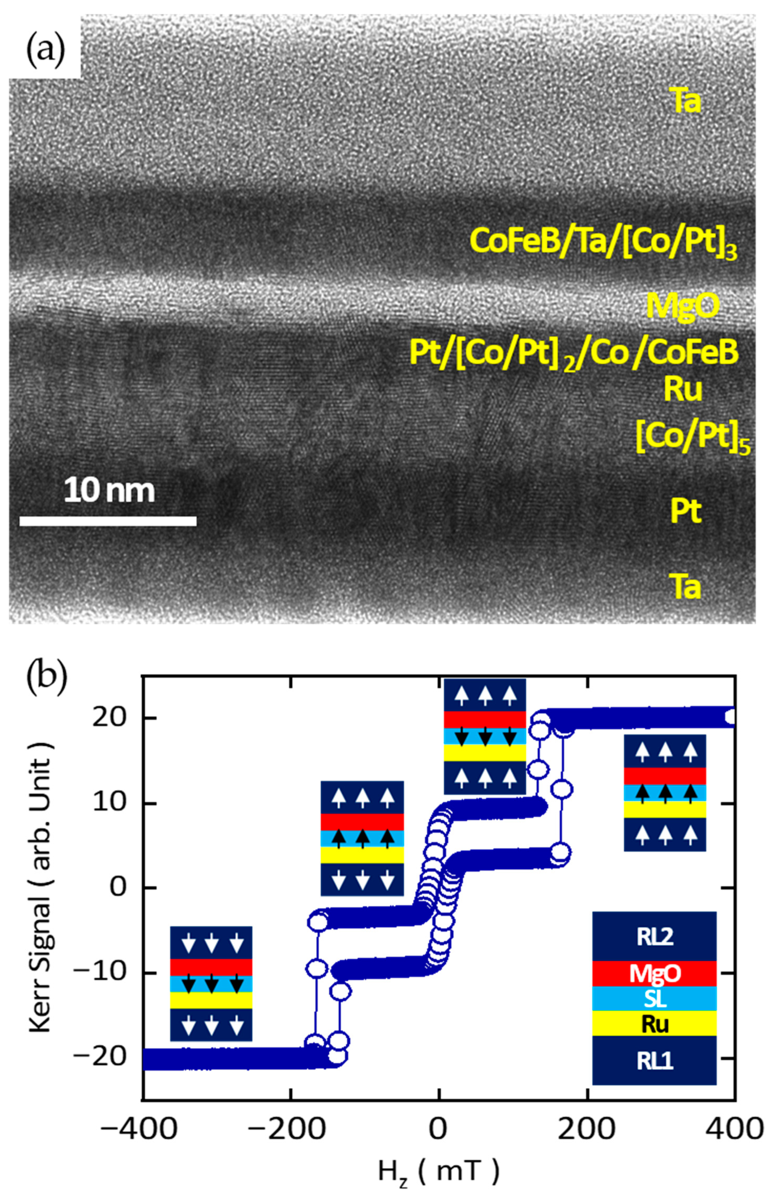 Sensors 25 06793 g004 Sensors 25 06793 g004