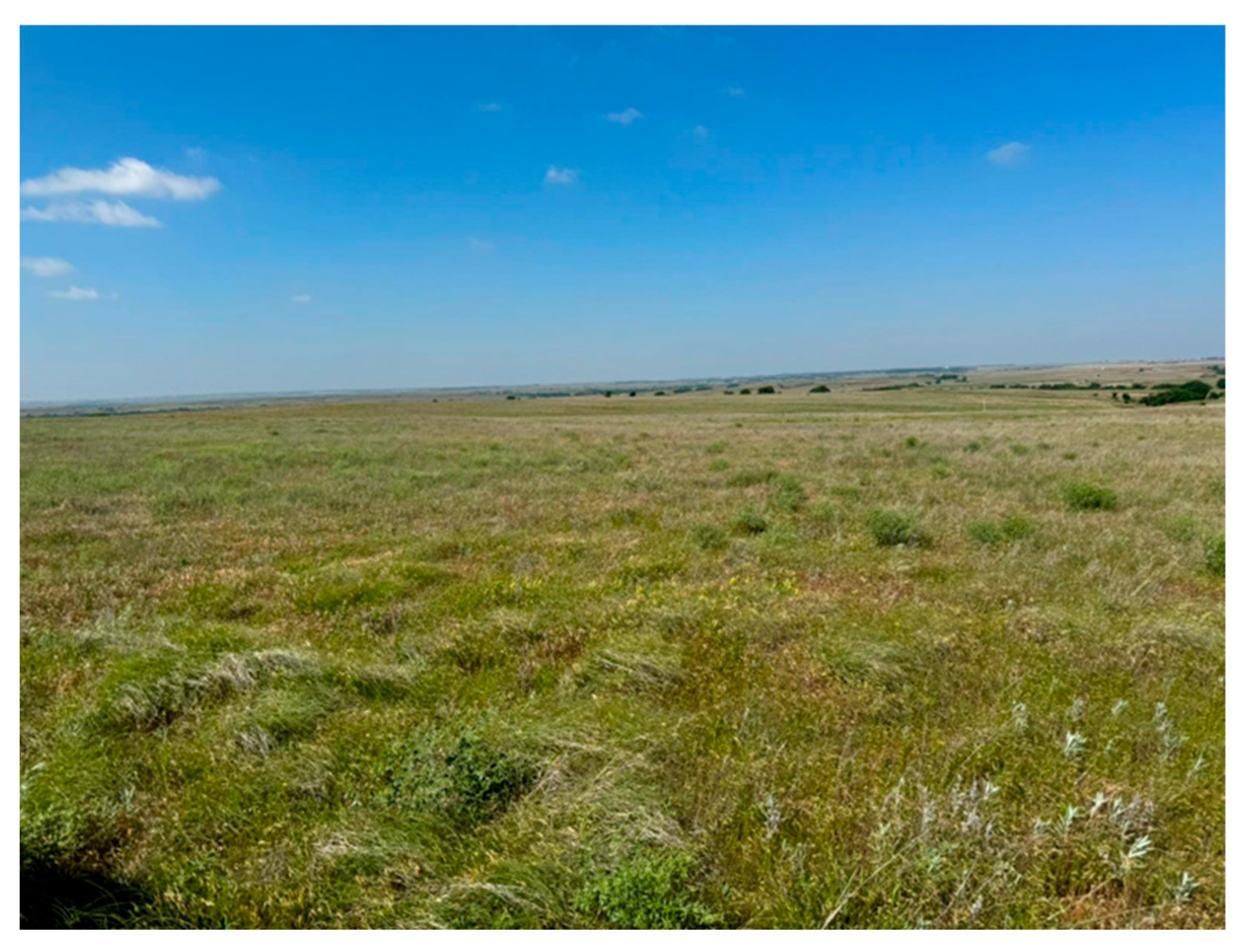 Sensors 25 06821 g001 Sensors 25 06821 g001