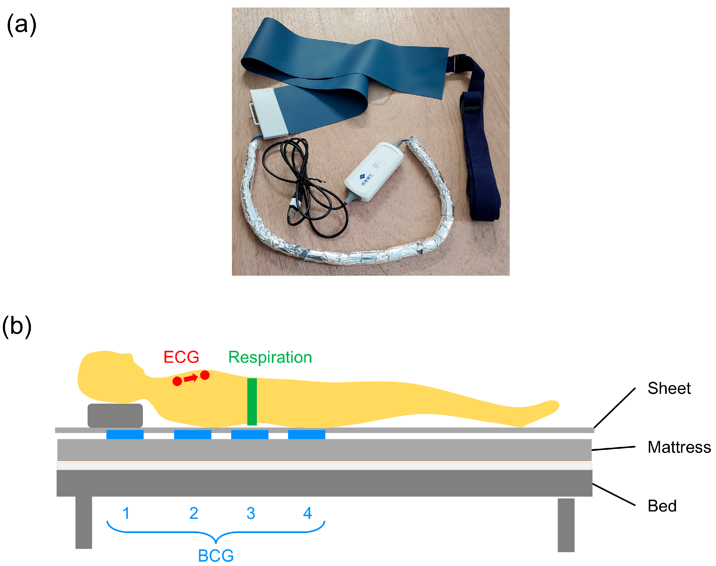 Sensors 25 06833 g001 Sensors 25 06833 g001