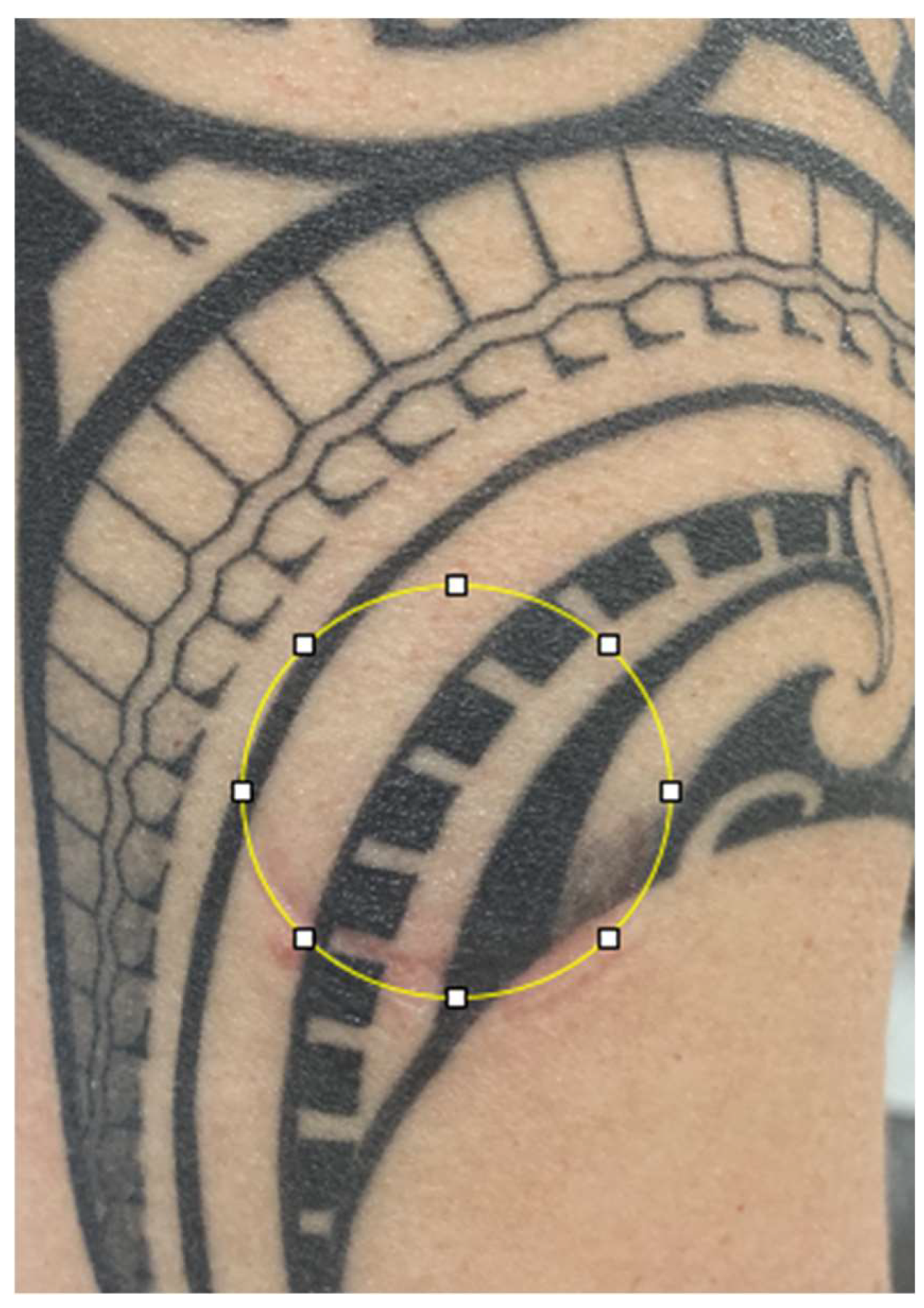 Sensors 25 06896 g002