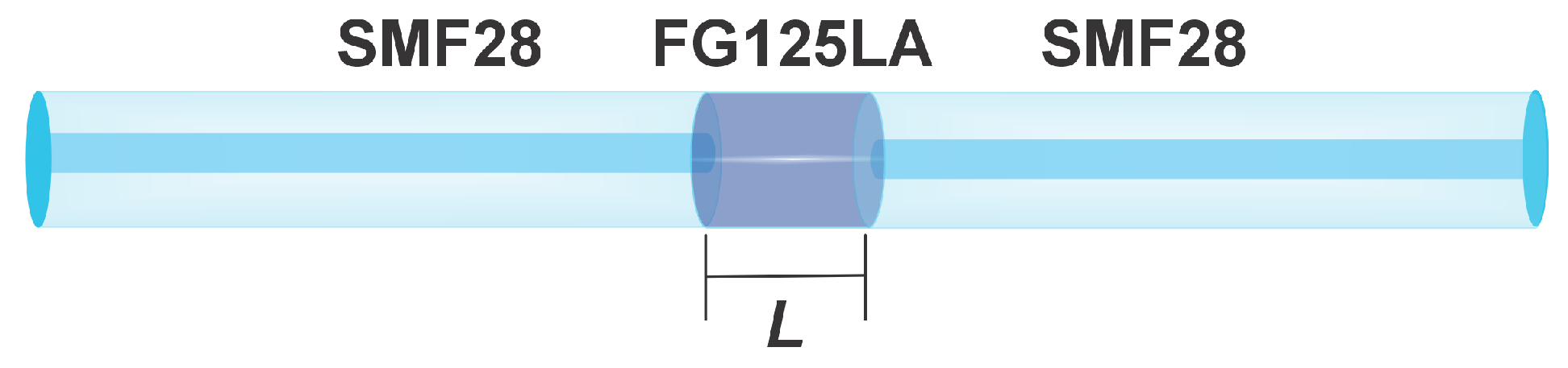 Sensors 25 06902 g001 Sensors 25 06902 g001