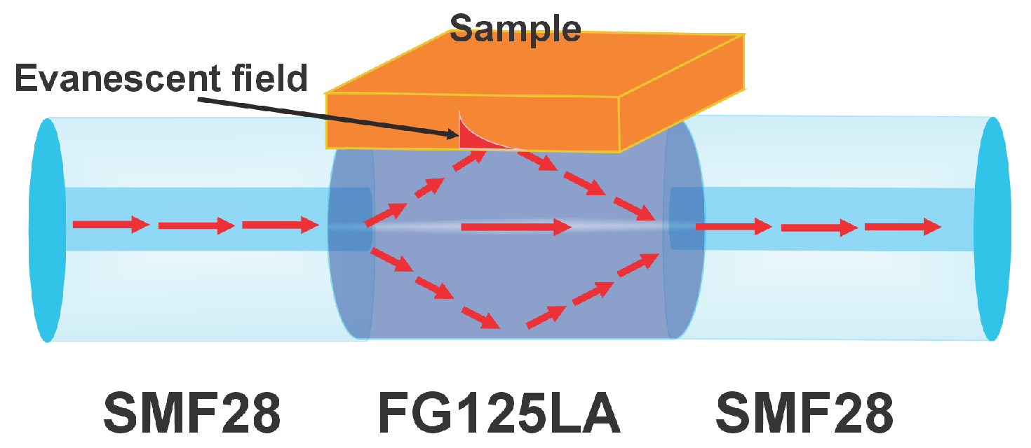 Sensors 25 06902 g002 Sensors 25 06902 g002