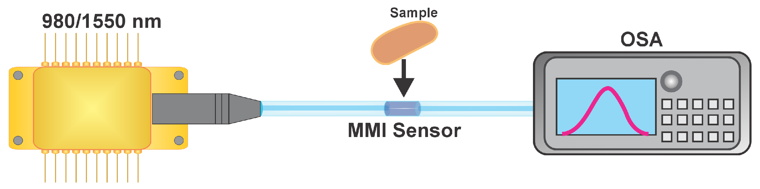 Sensors 25 06902 g003 Sensors 25 06902 g003