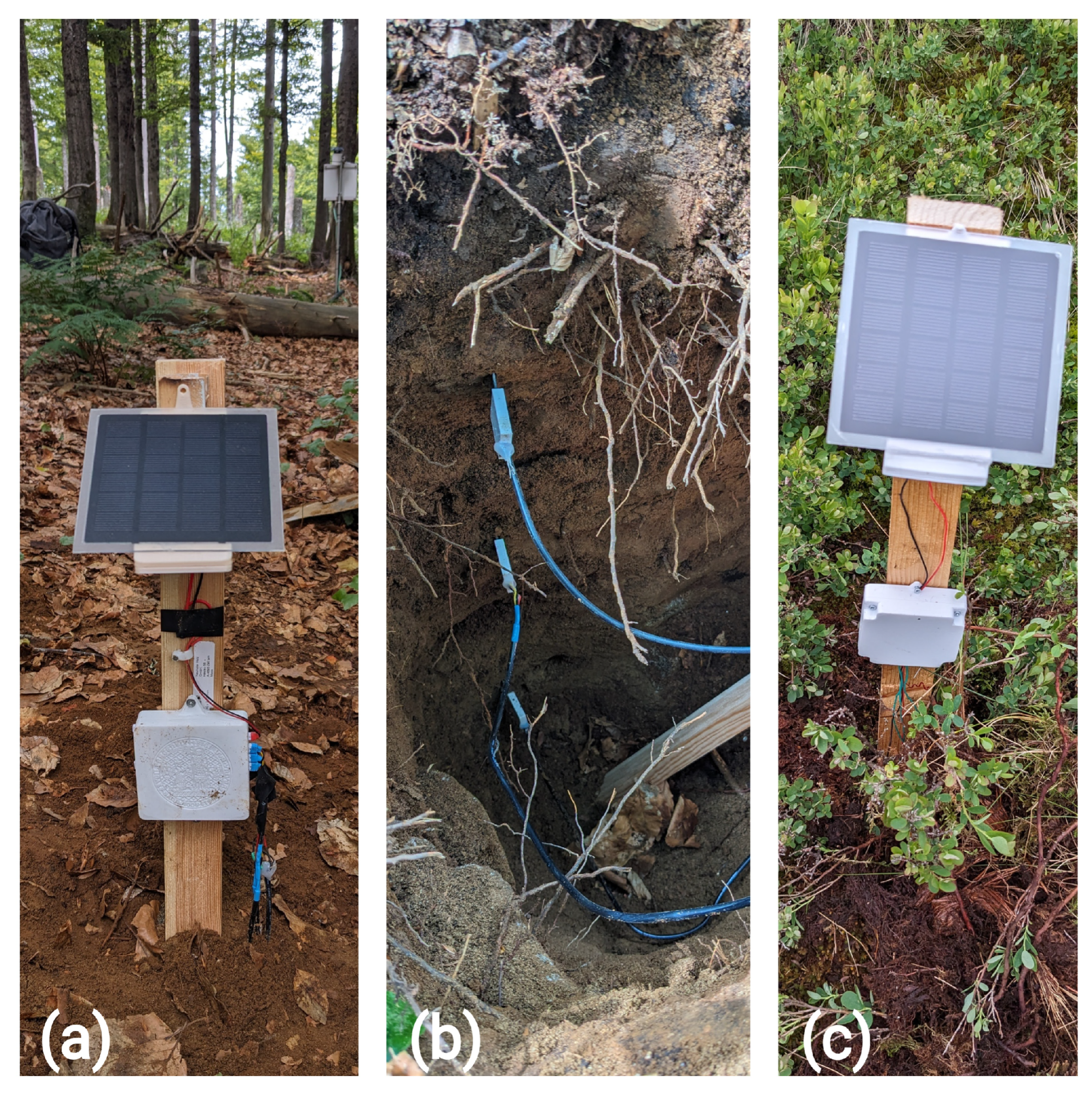 Sensors 25 06907 g006